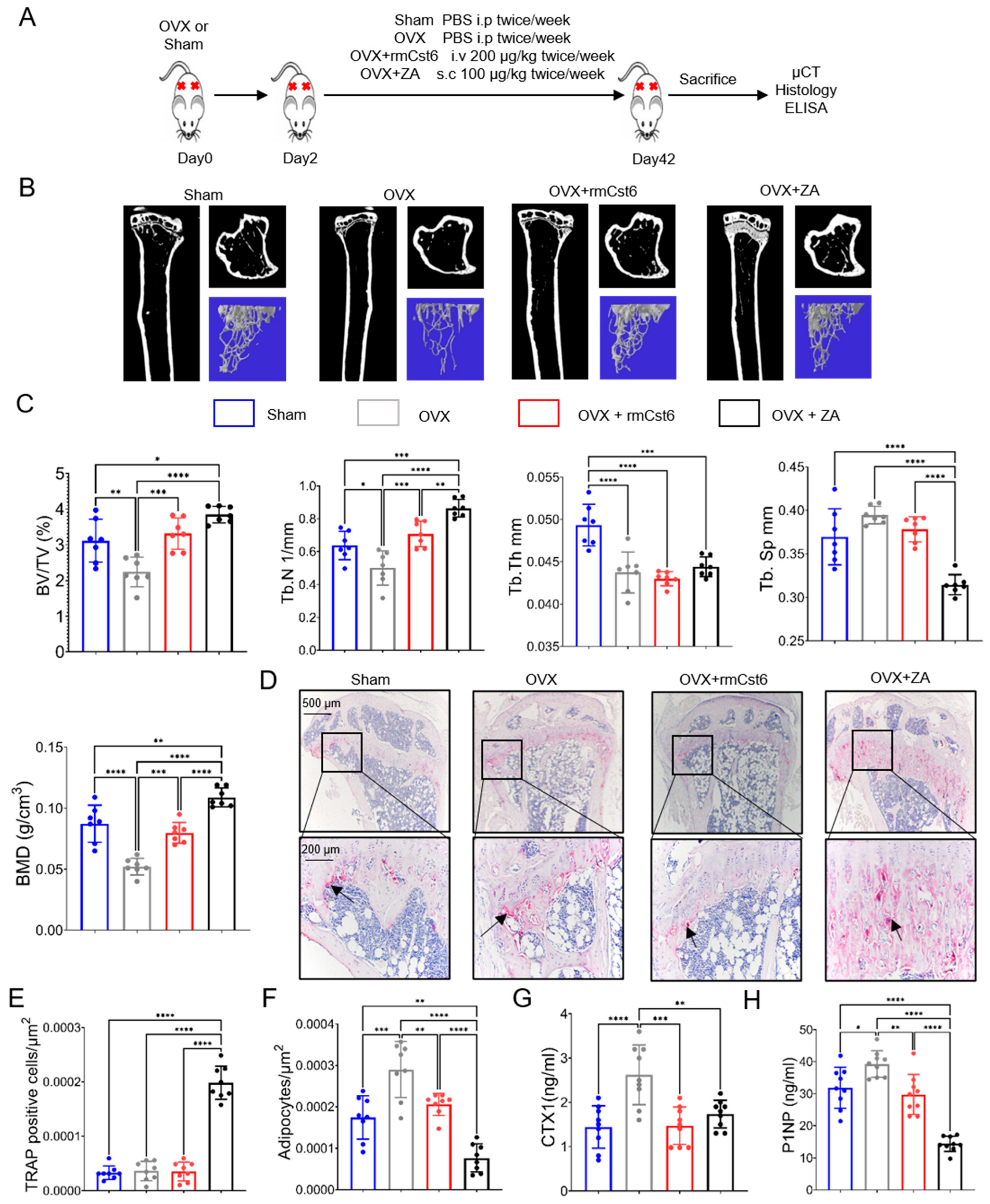 Cancers 17 00833 g002