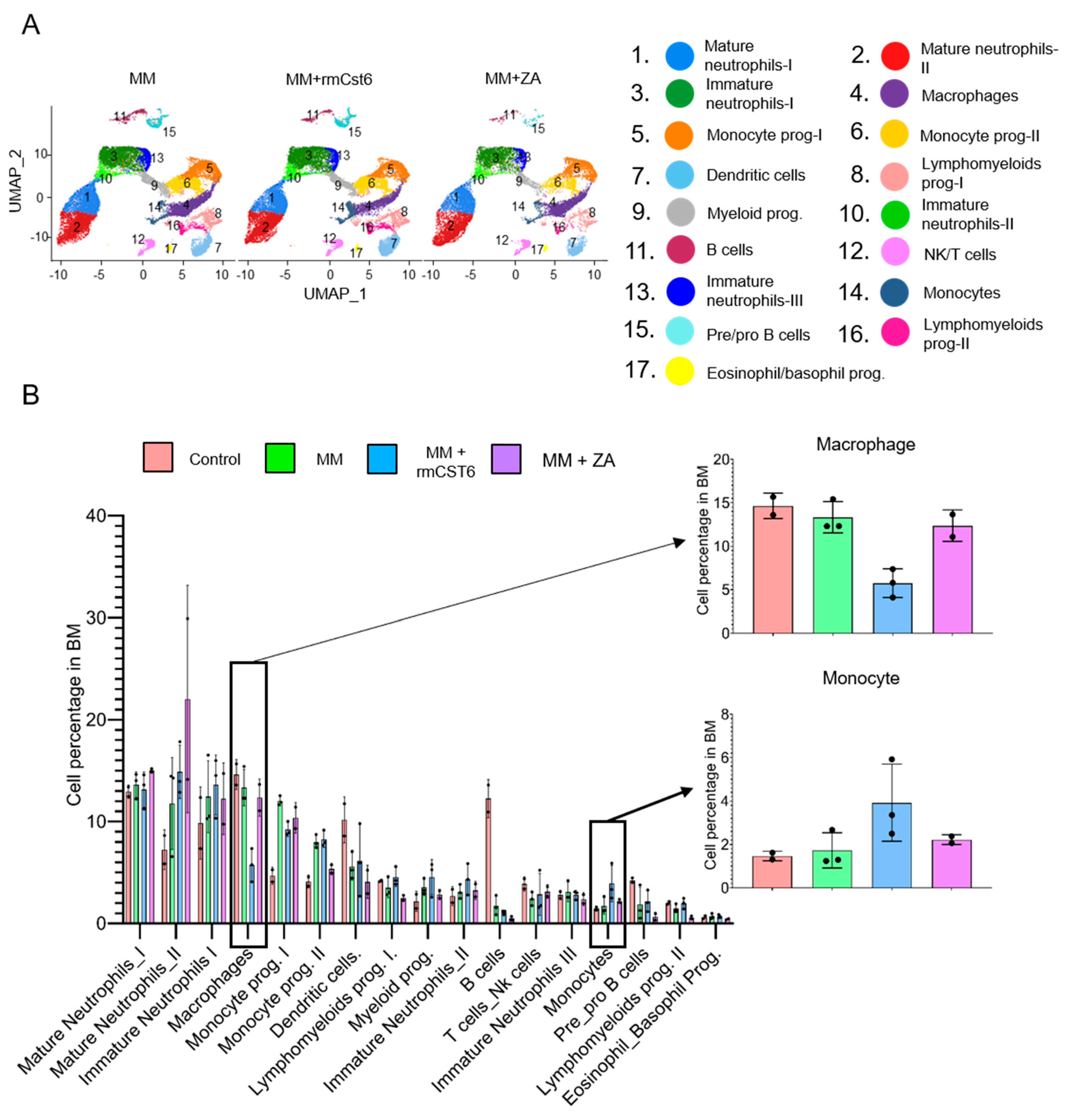 Cancers 17 00833 g003