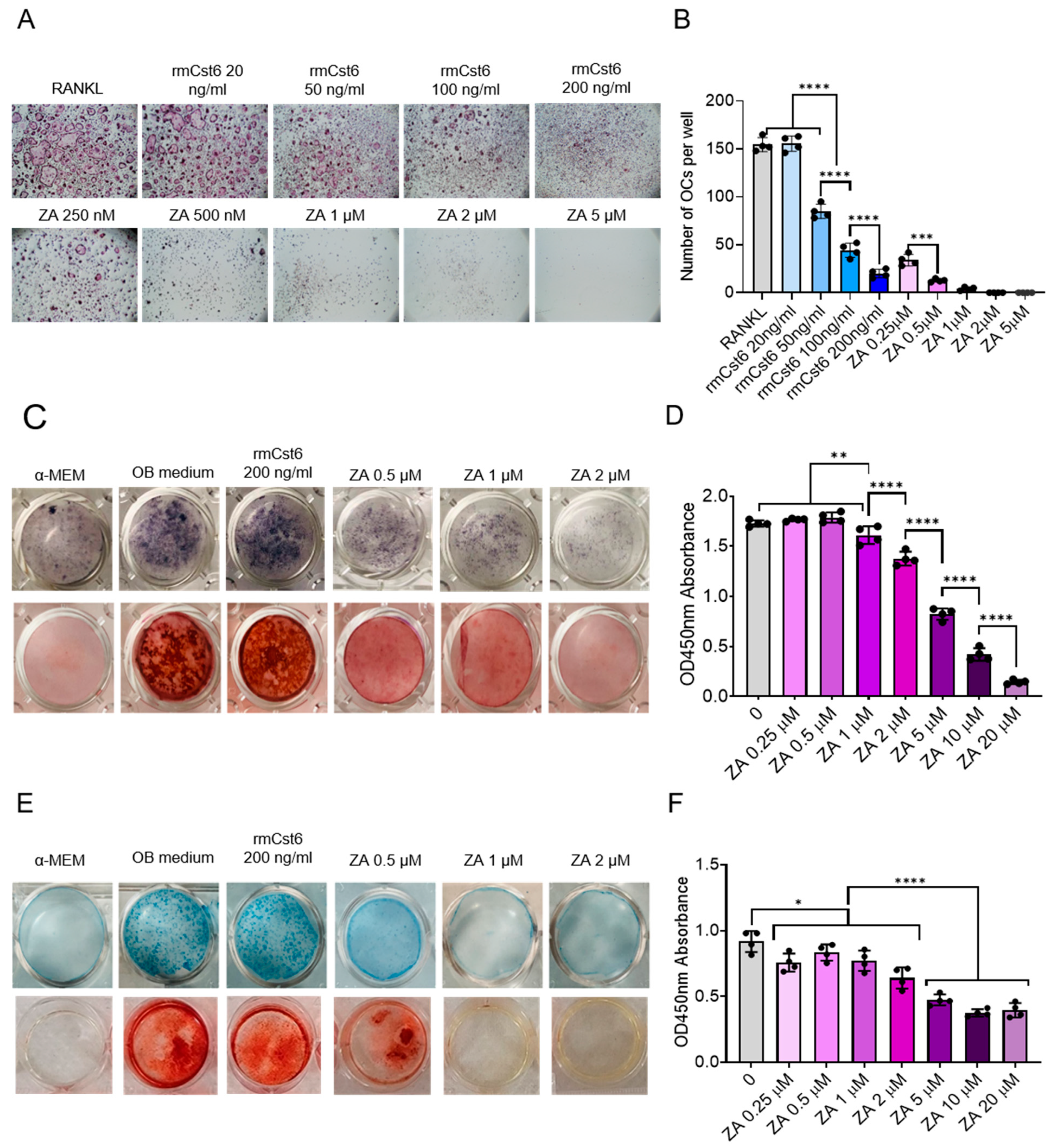 Cancers 17 00833 g004