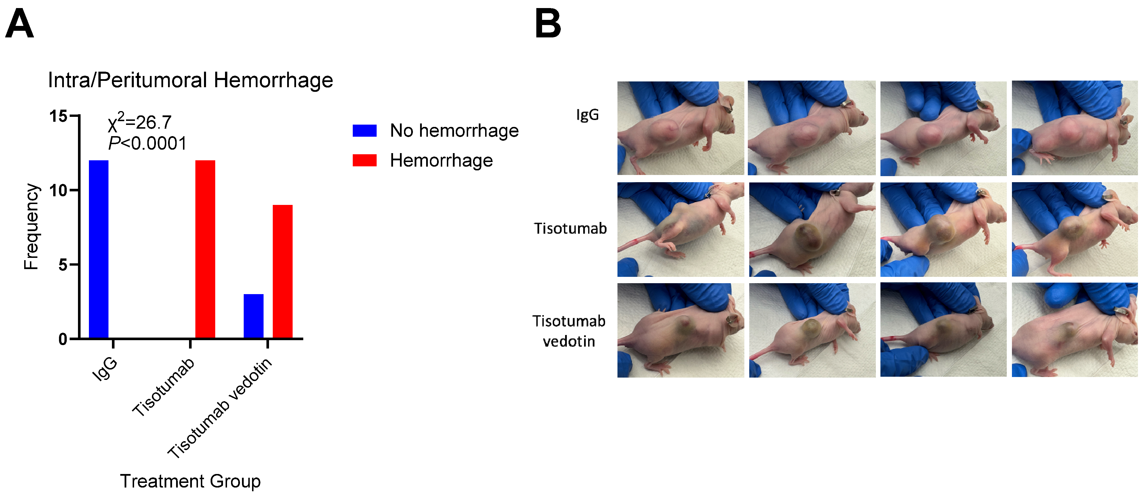 Cancers 17 00834 g003