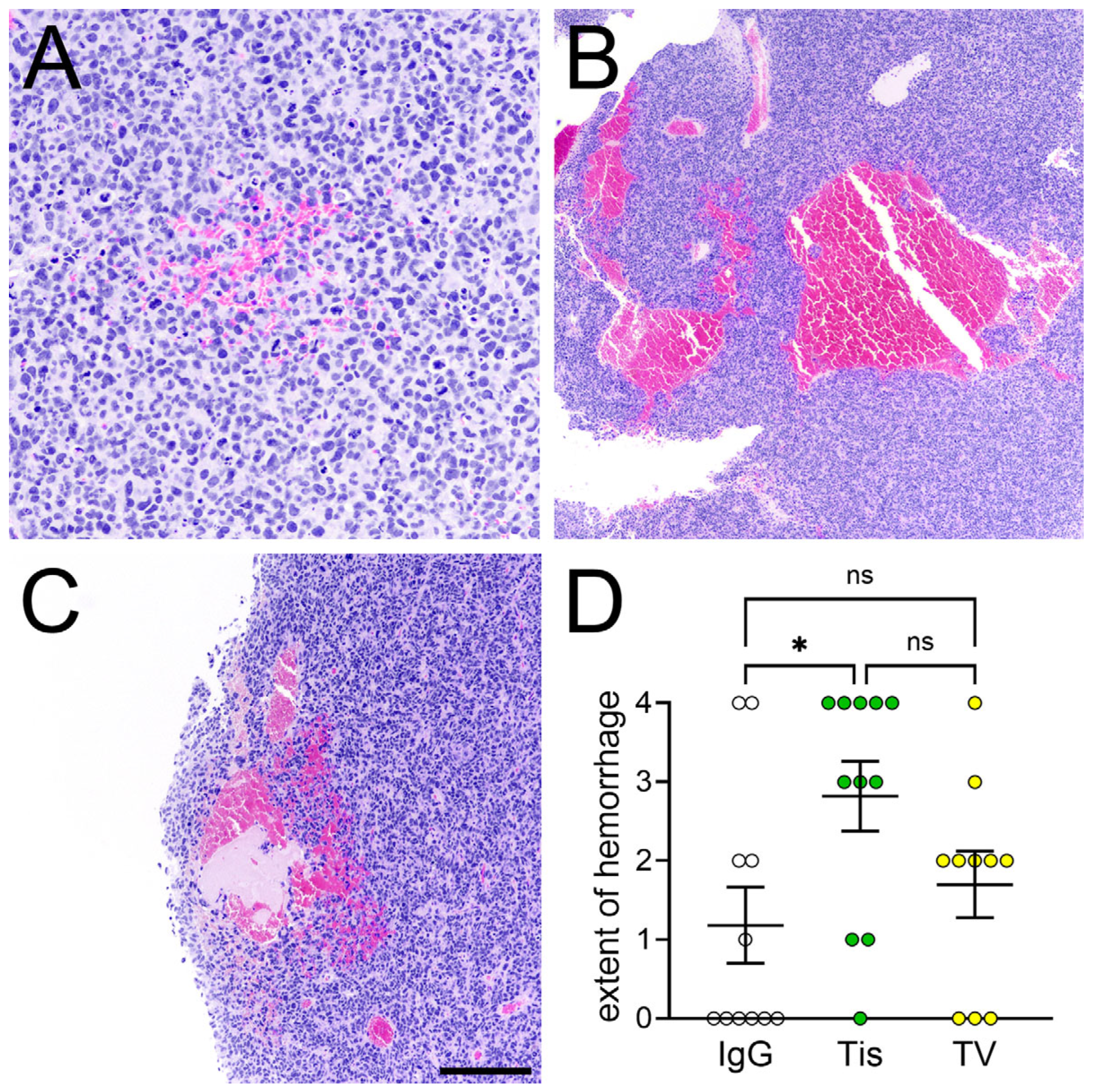 Cancers 17 00834 g004