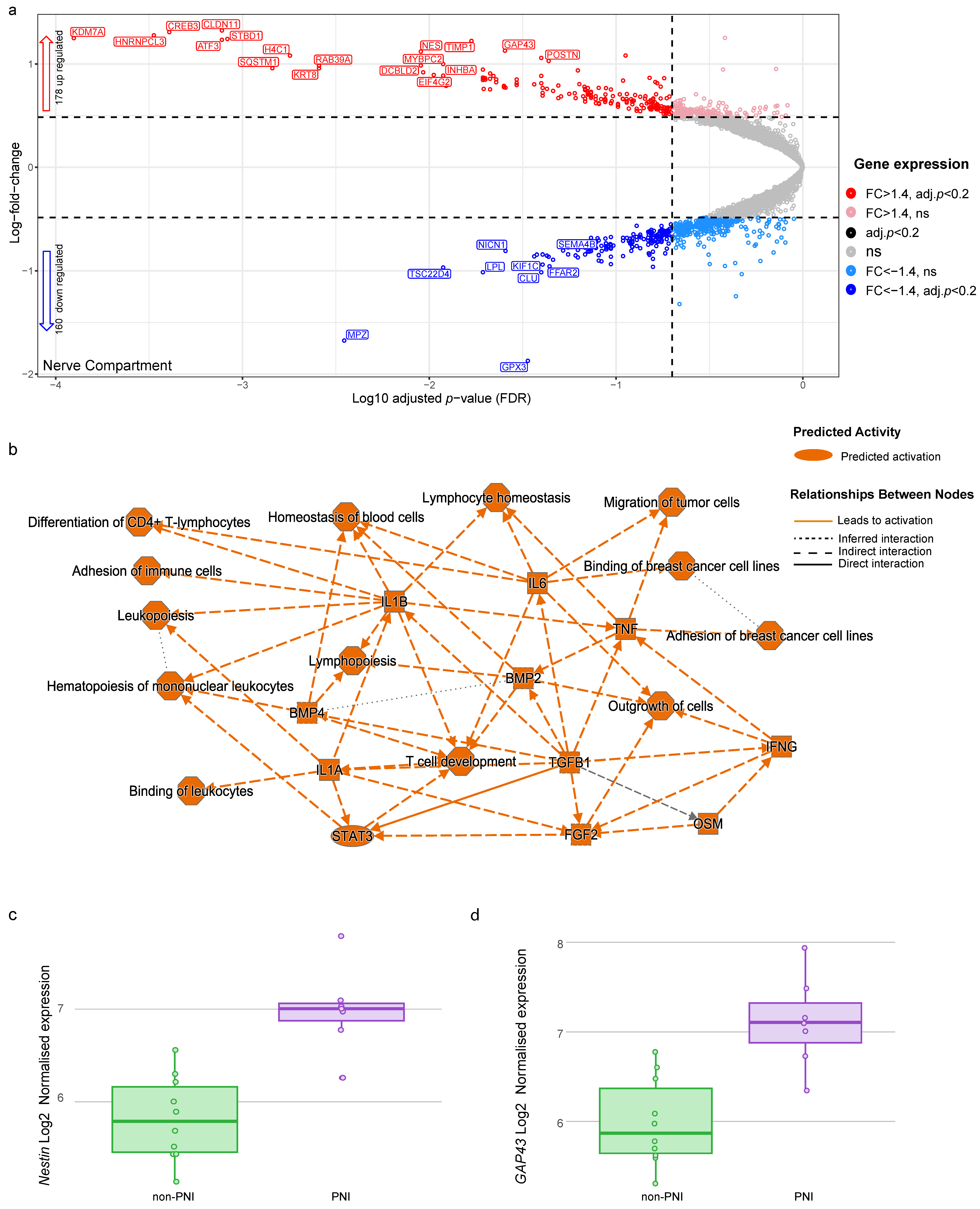 Cancers 17 00852 g005