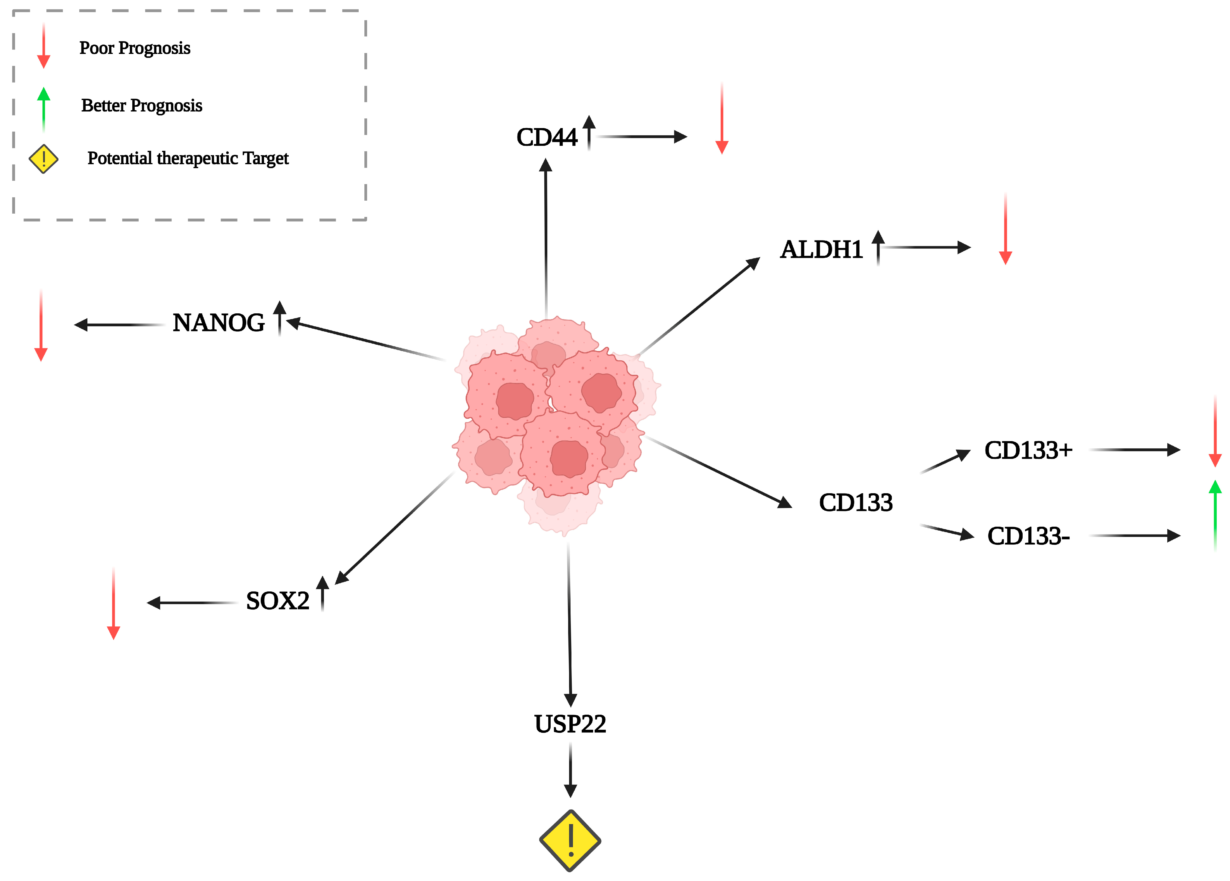 Cancers 17 00853 g001