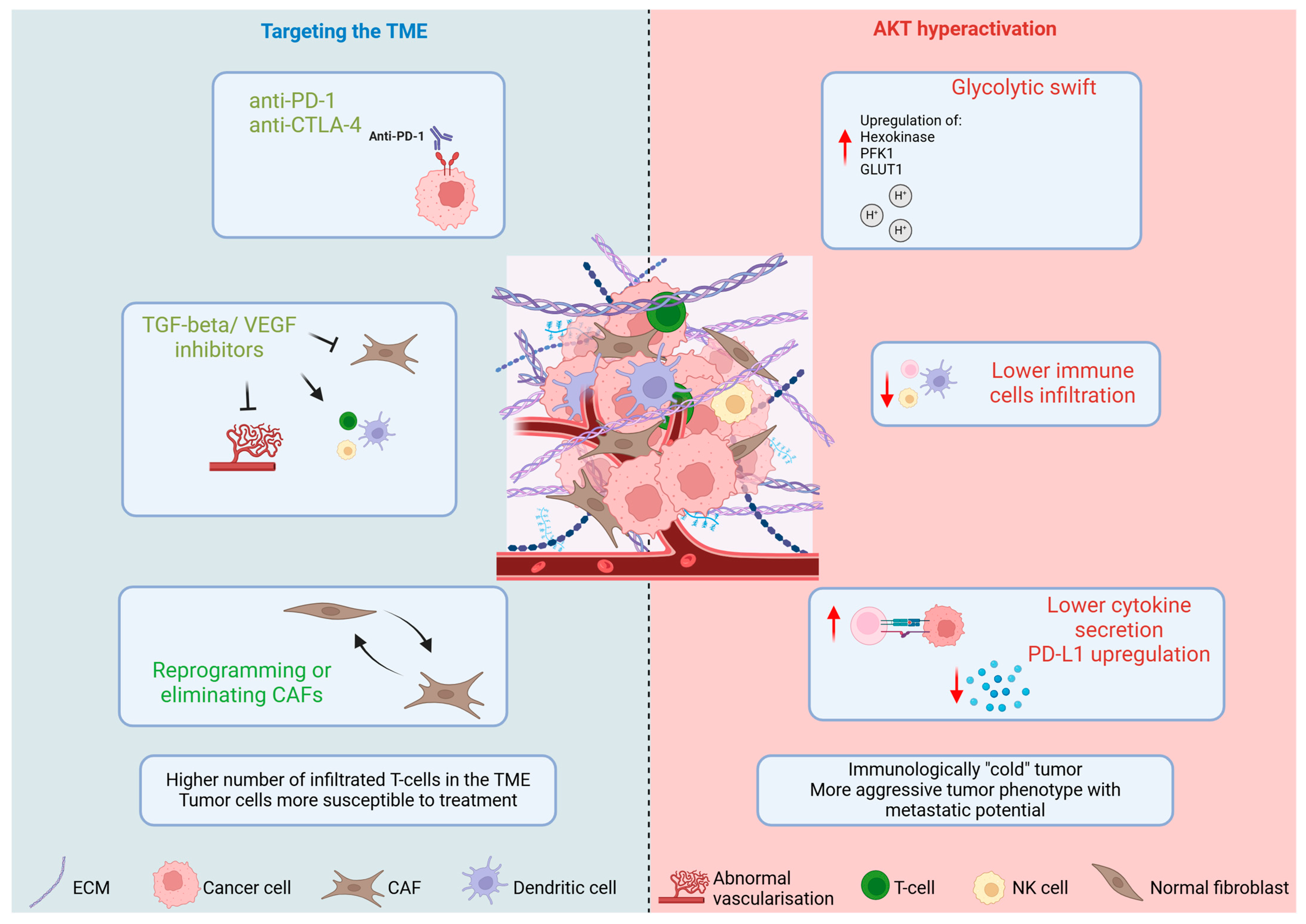 Cancers 17 00853 g003