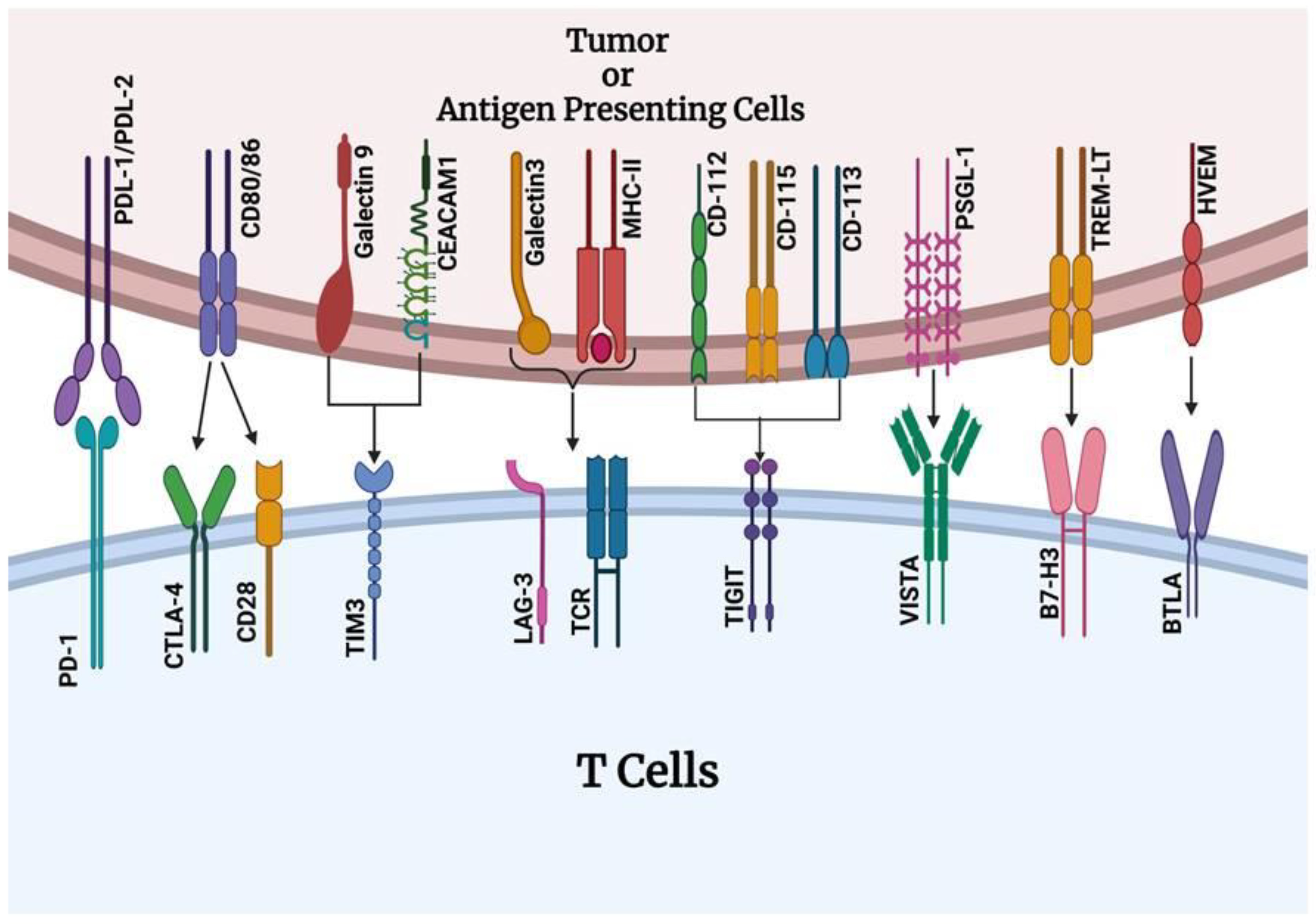 Cancers 17 00880 g001