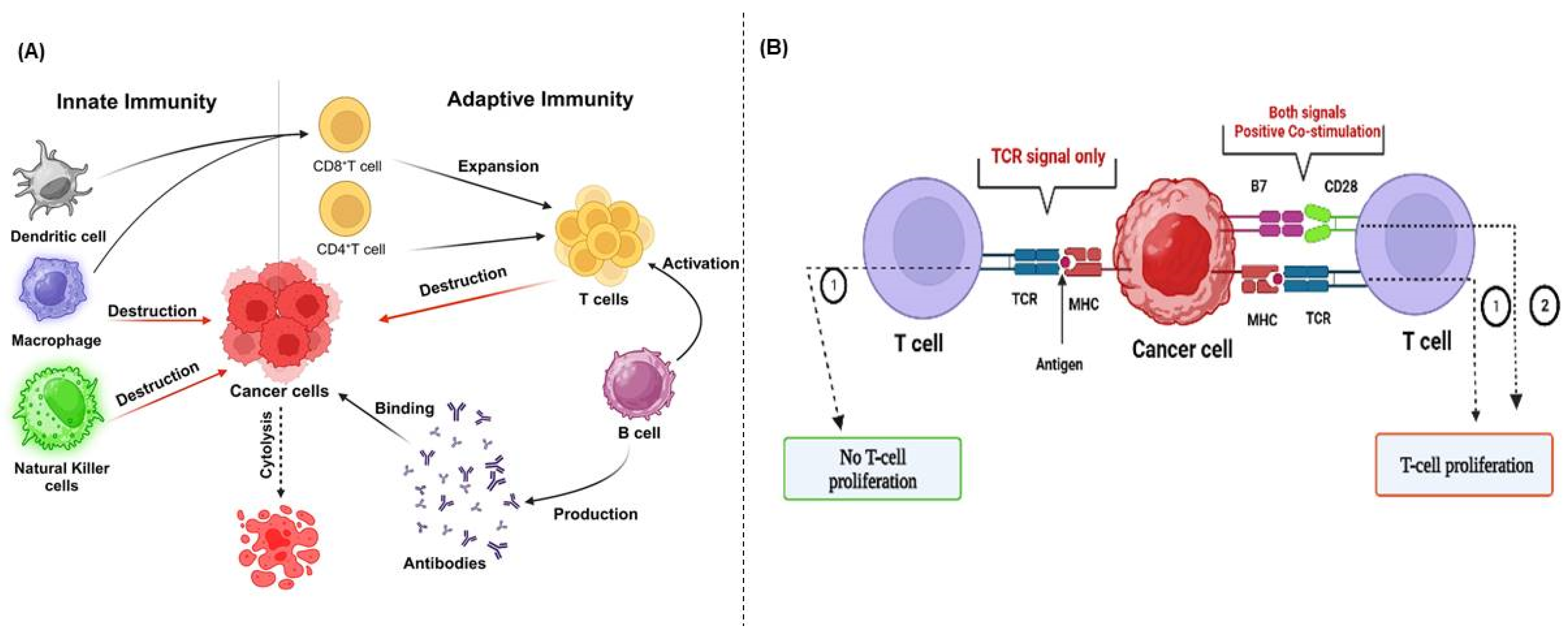 Cancers 17 00880 g002