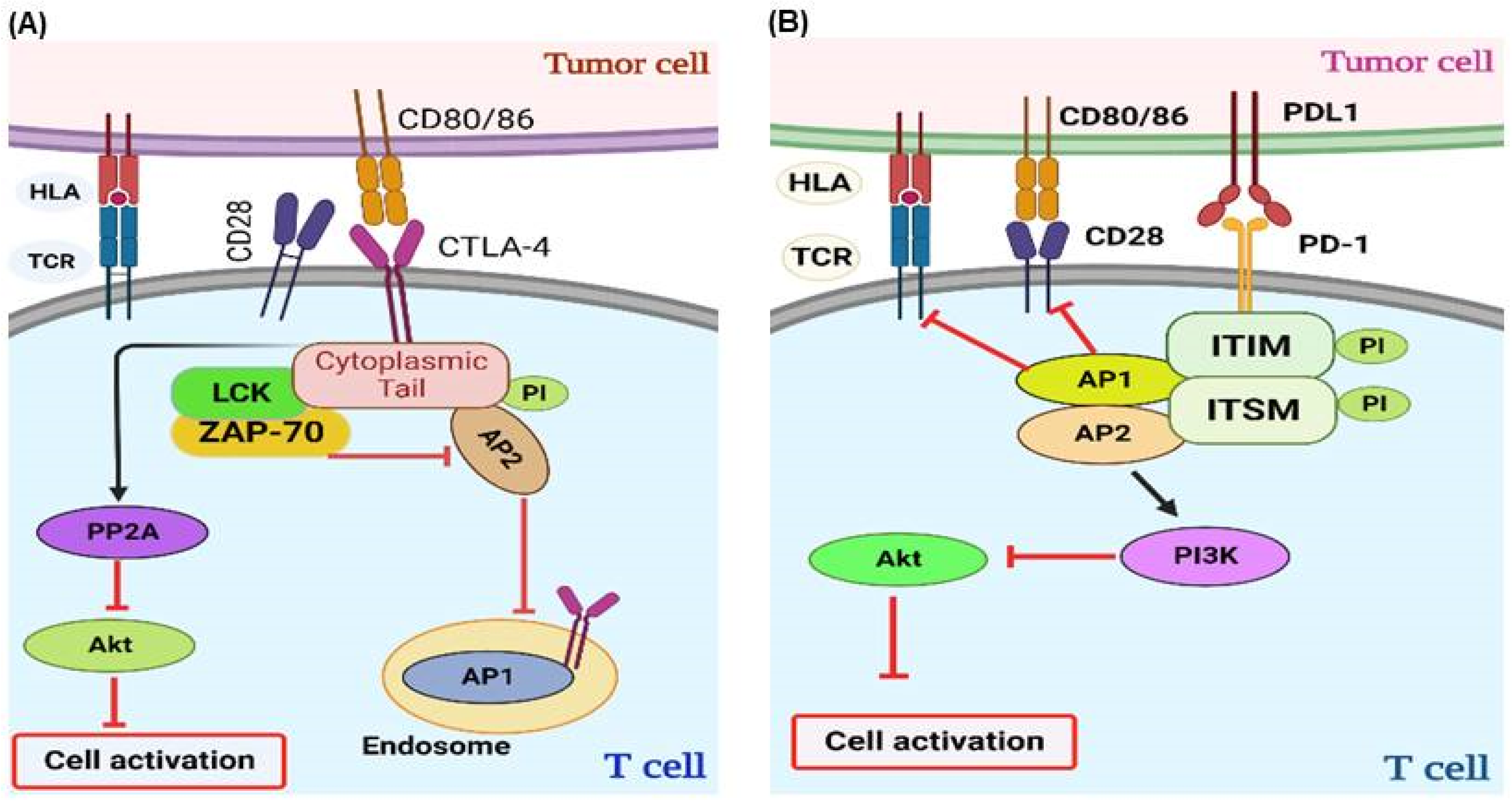 Cancers 17 00880 g003