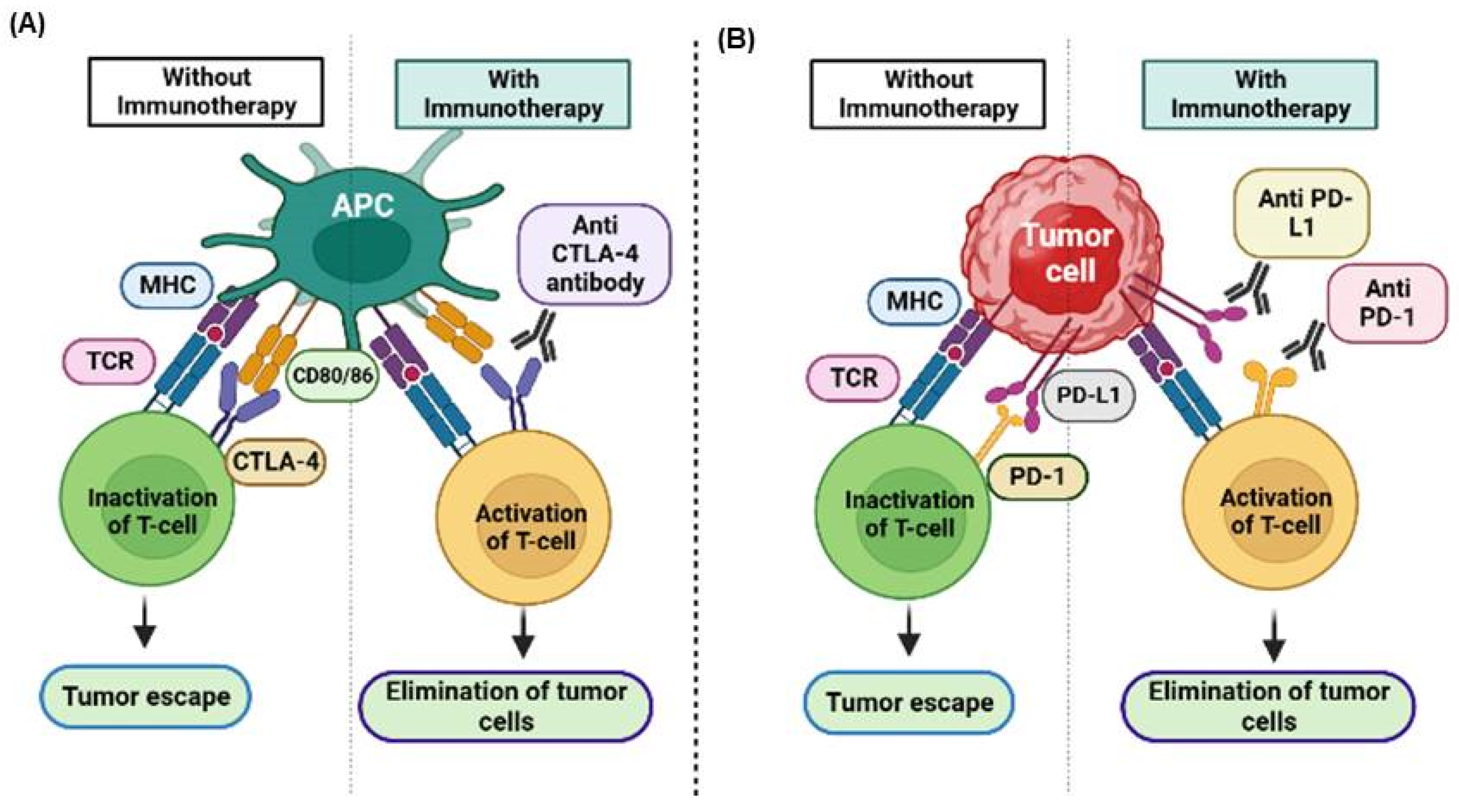 Cancers 17 00880 g005