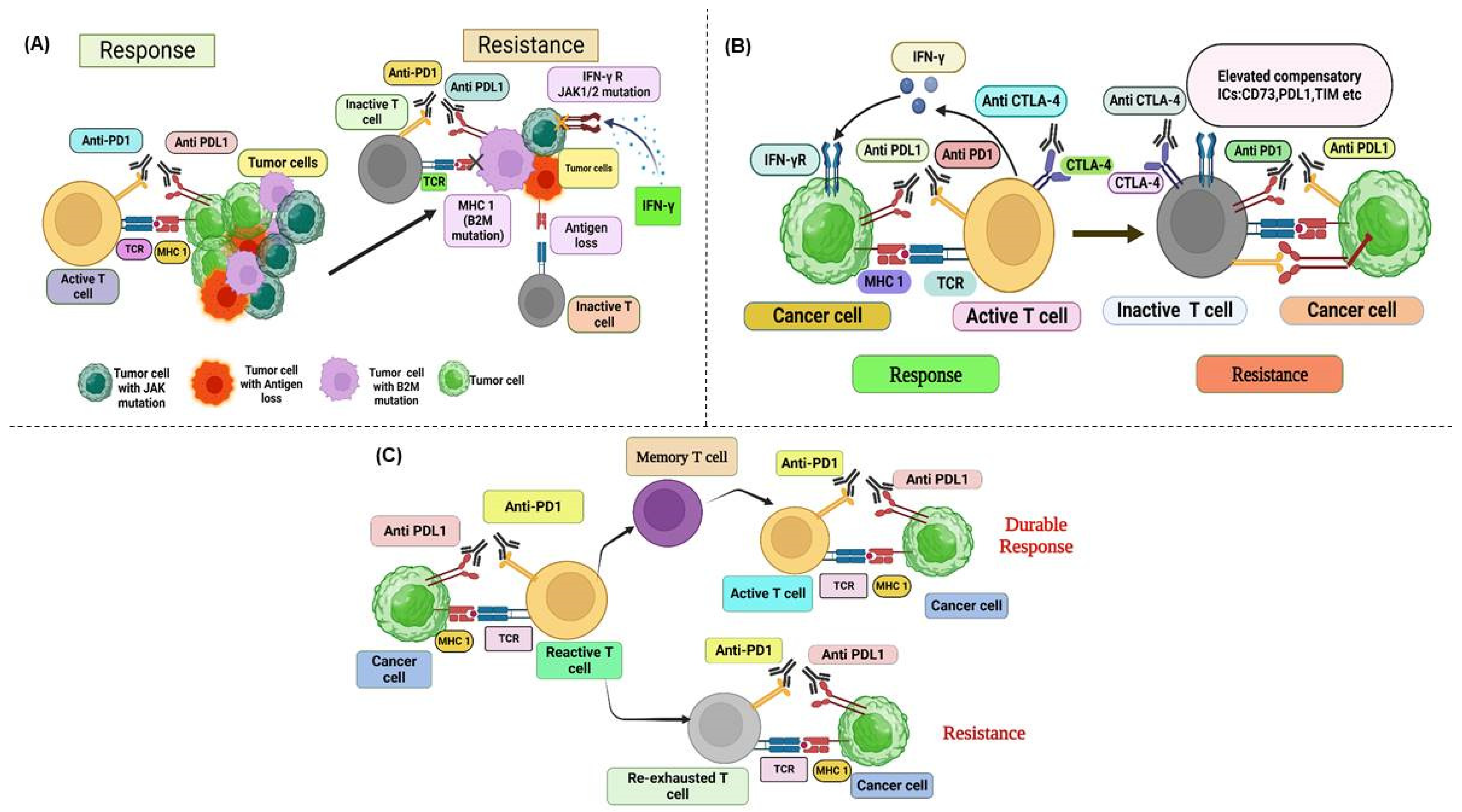 Cancers 17 00880 g007