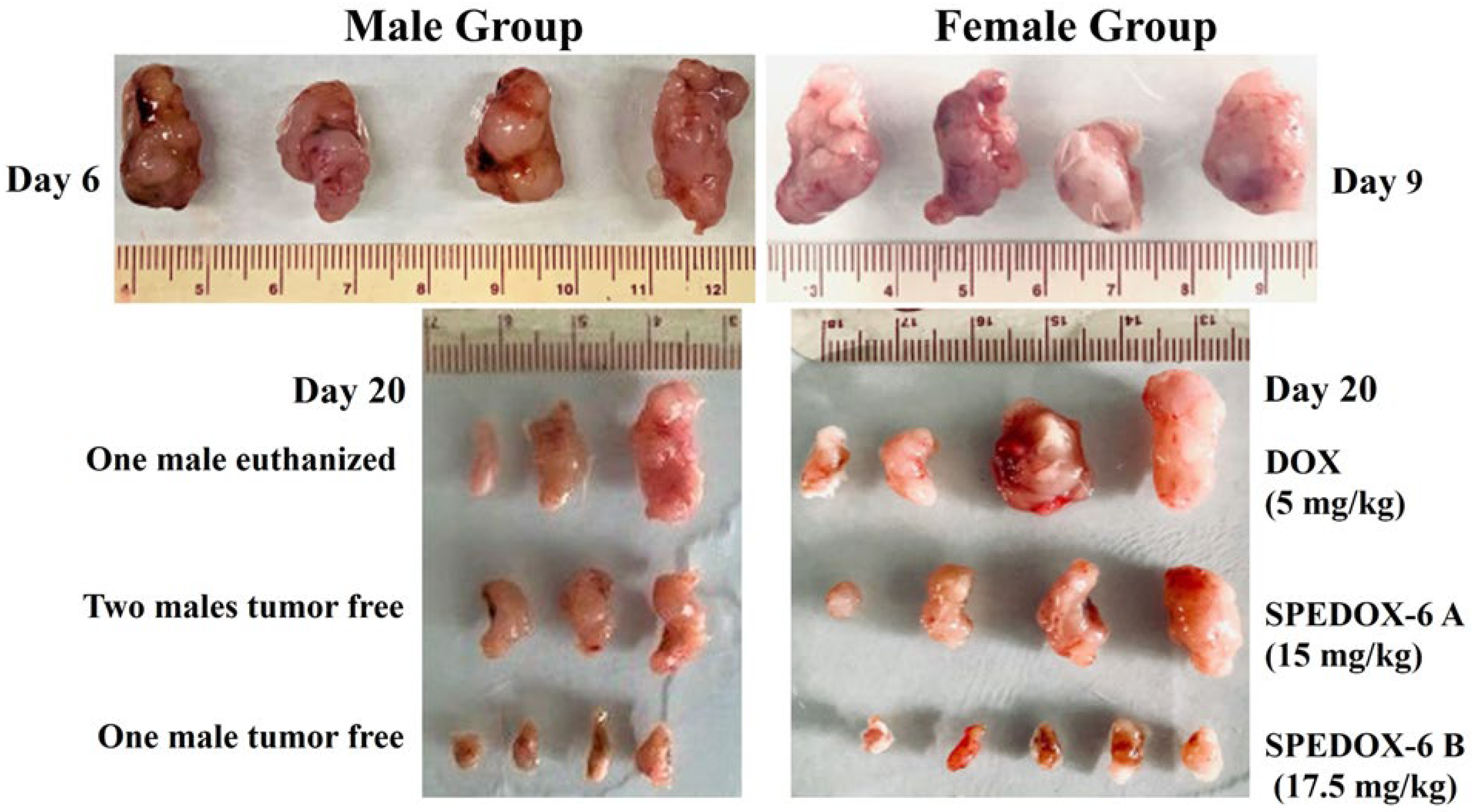 Cancers 17 00881 g003