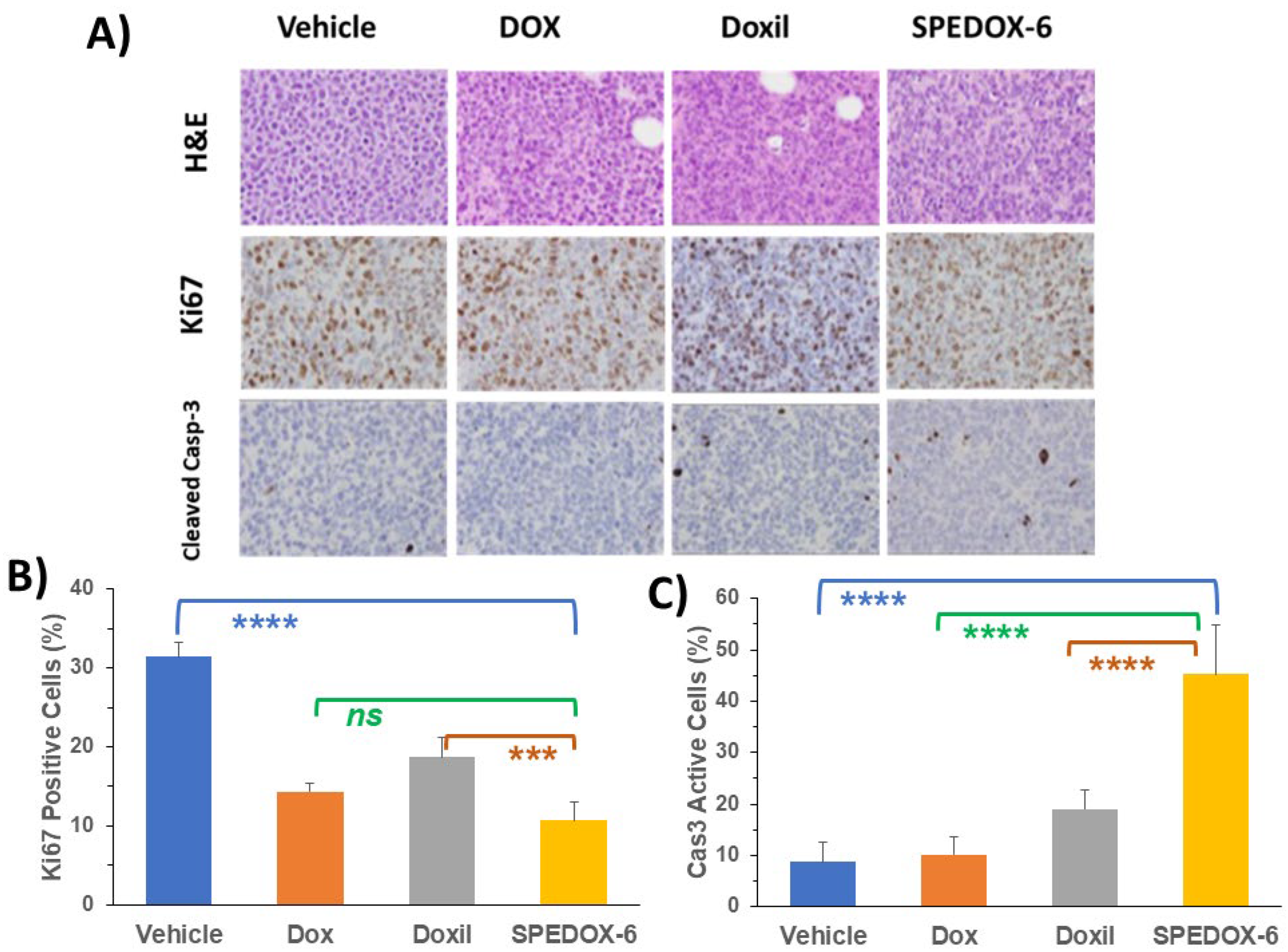 Cancers 17 00881 g005