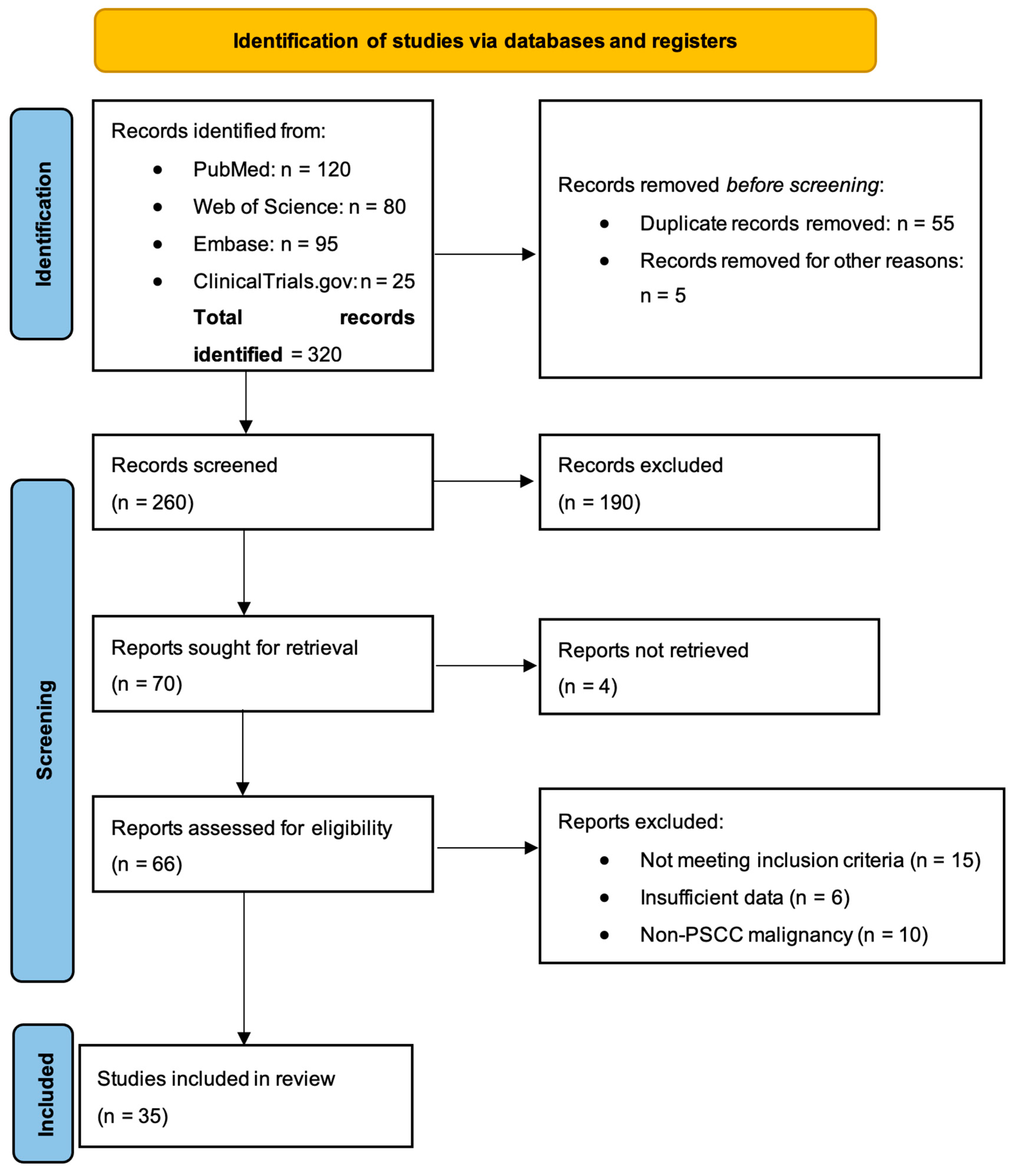 Cancers 17 00883 g001