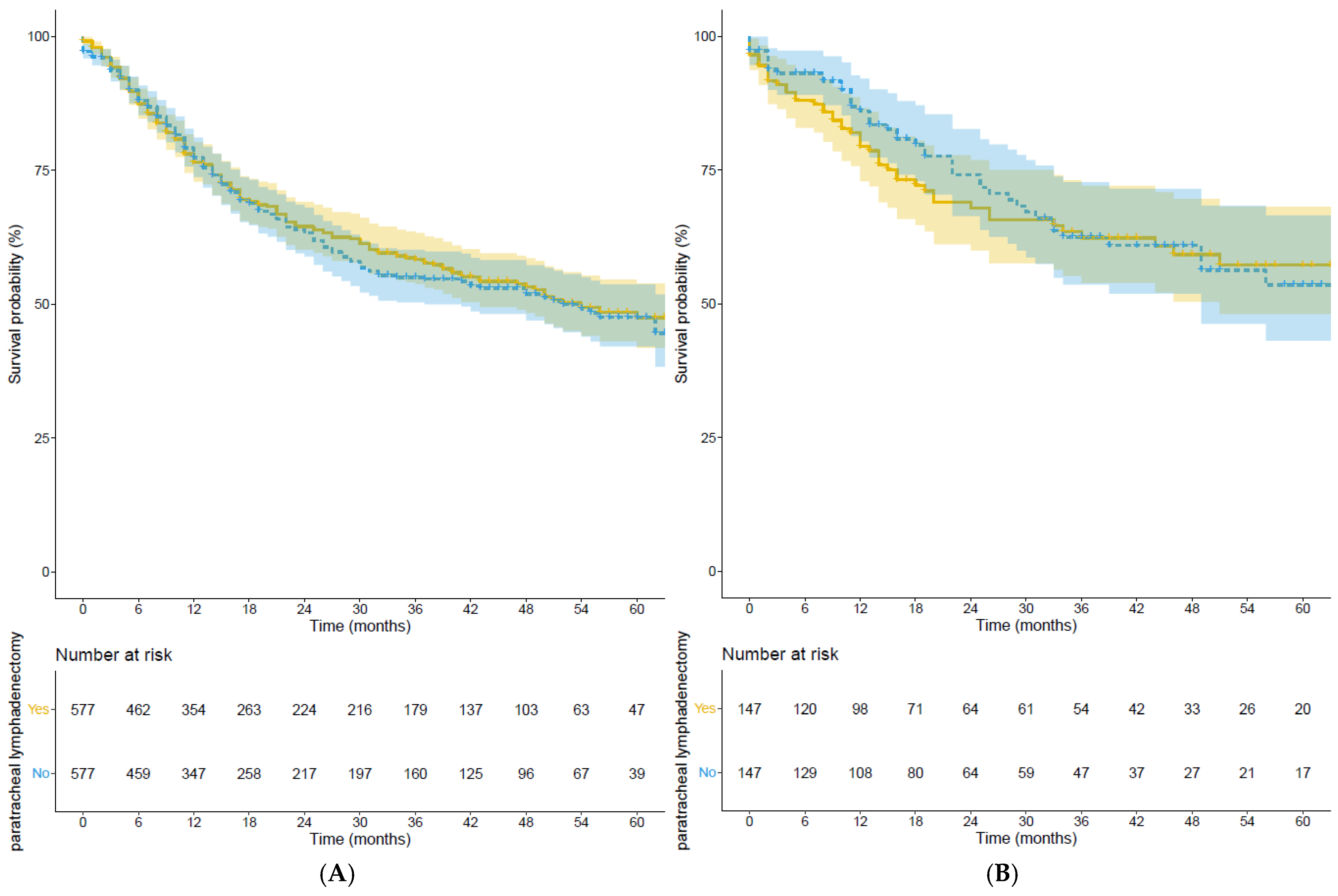 Cancers 17 00888 g002
