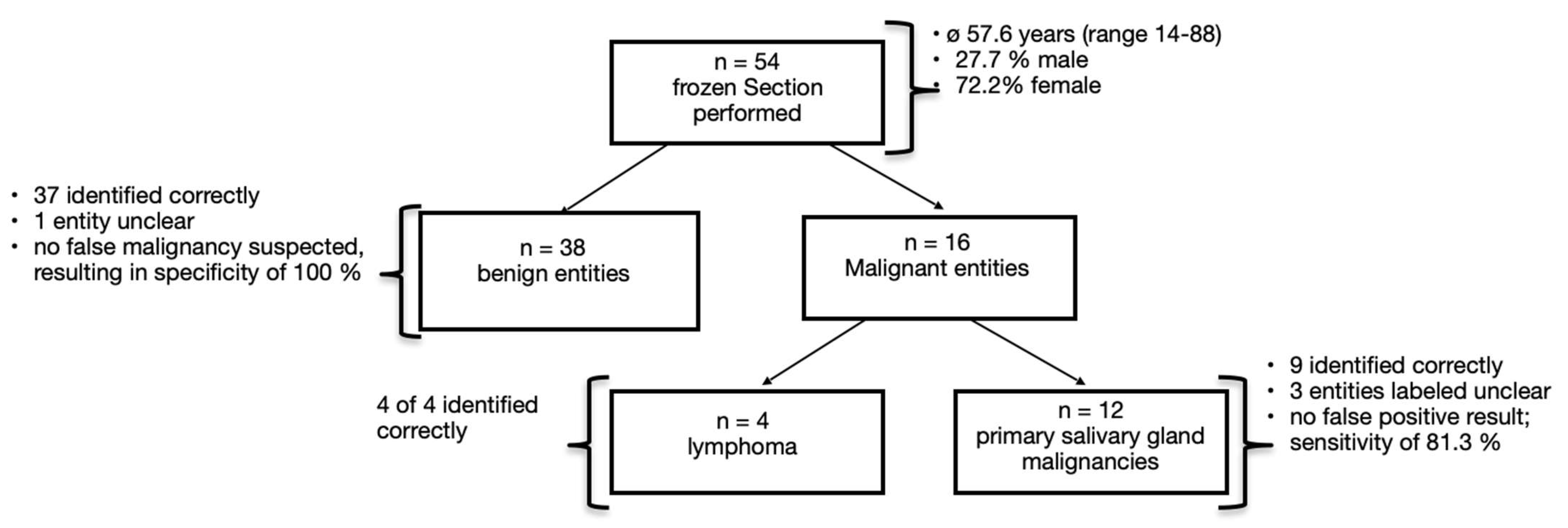 Cancers 17 00895 g002