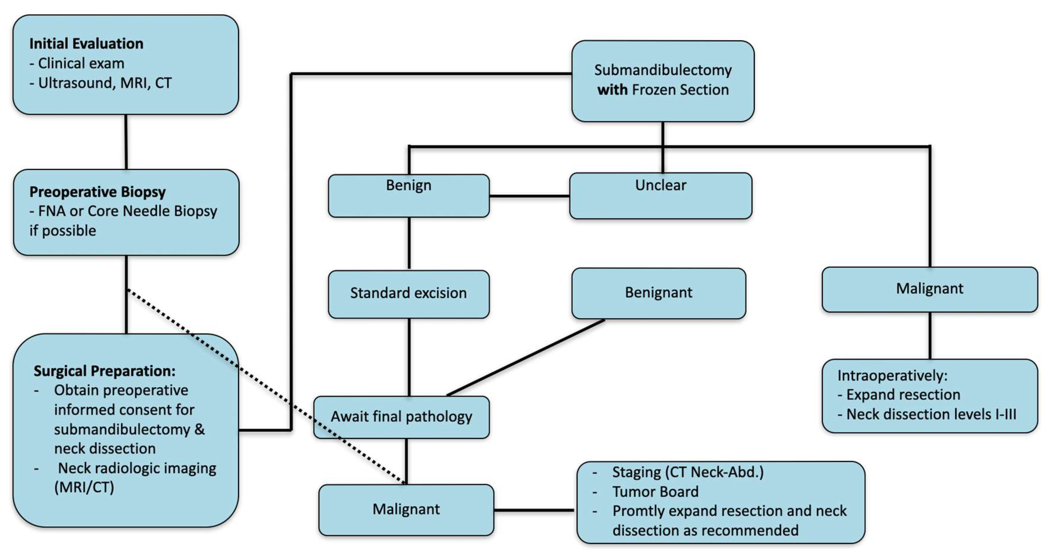 Cancers 17 00895 g004