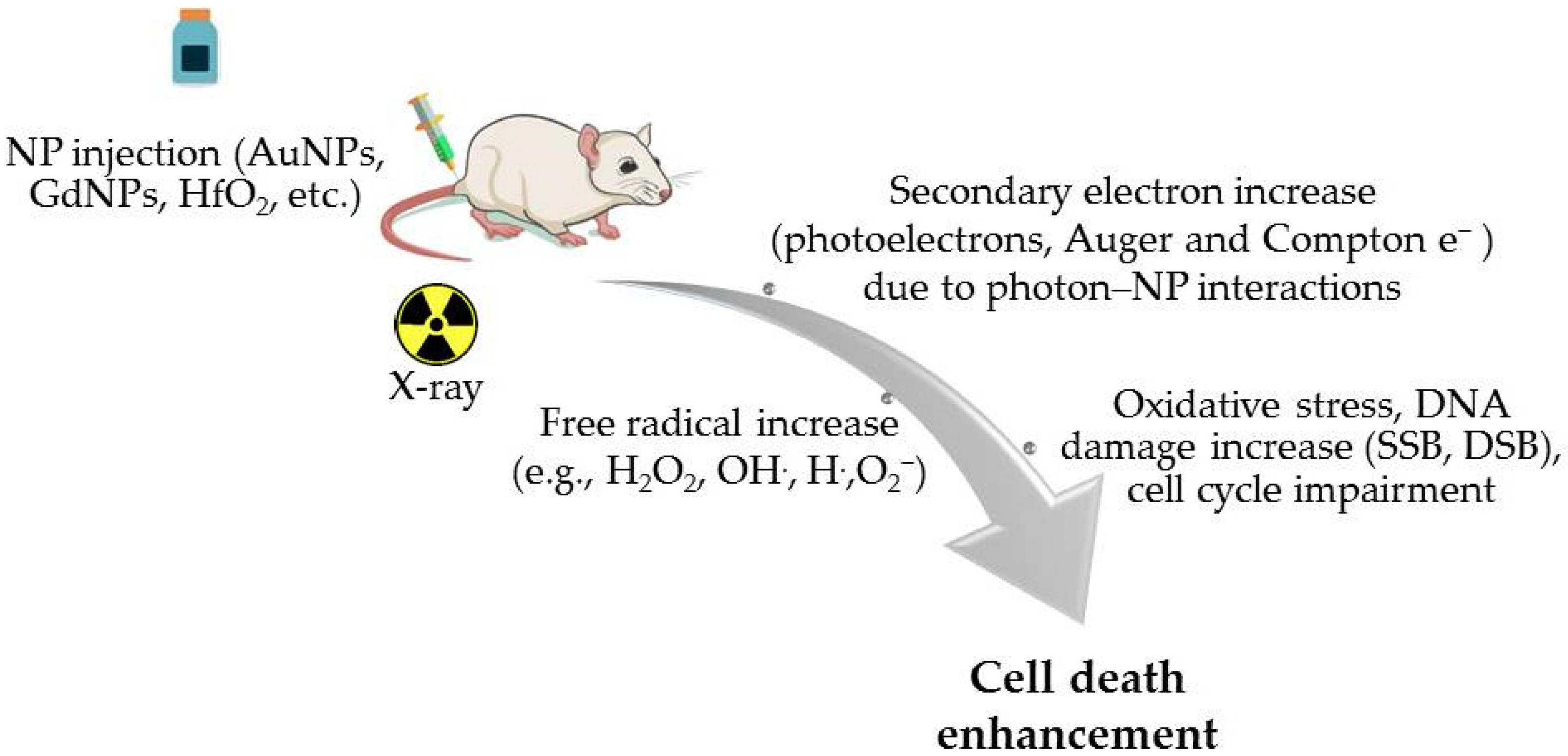 Cancers 17 00899 g002
