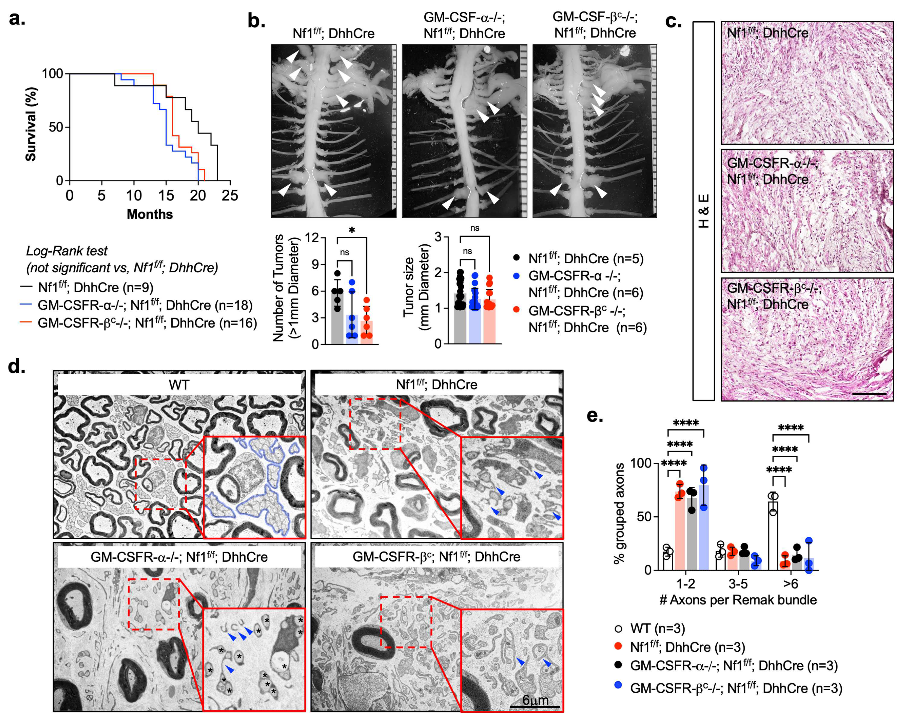Cancers 17 00905 g002