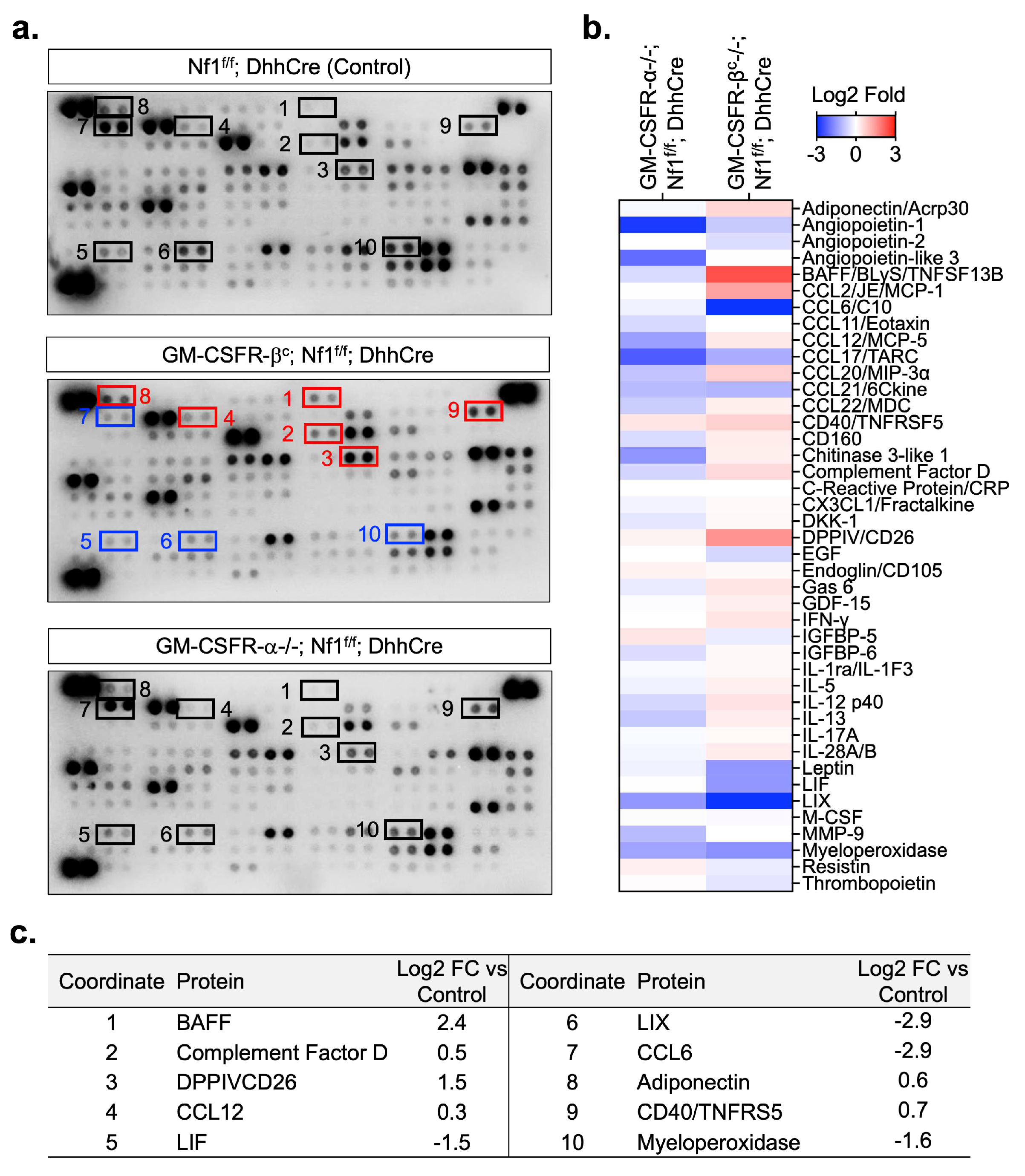 Cancers 17 00905 g004