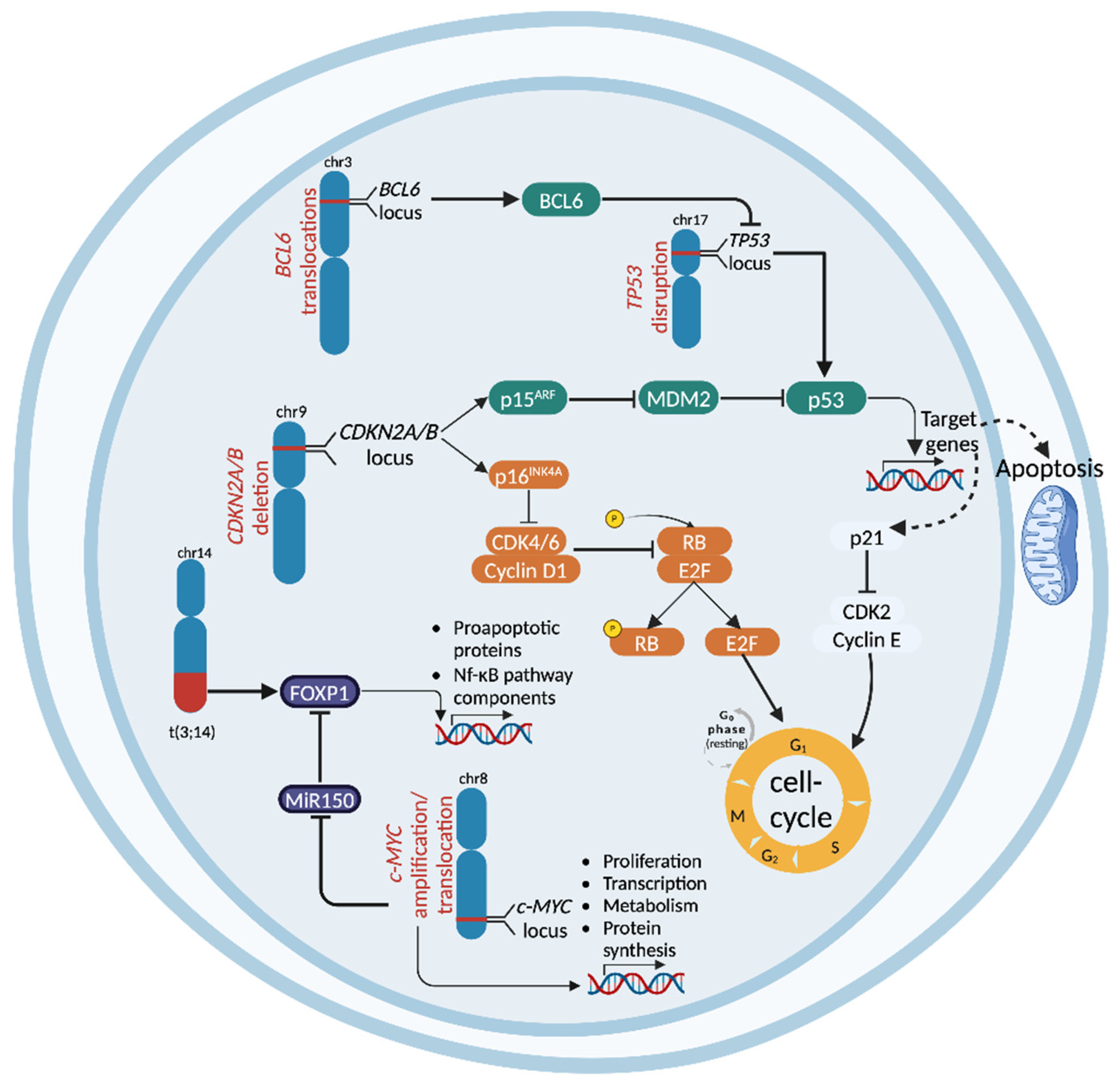 Cancers 17 00907 g001 Cancers 17 00907 g001