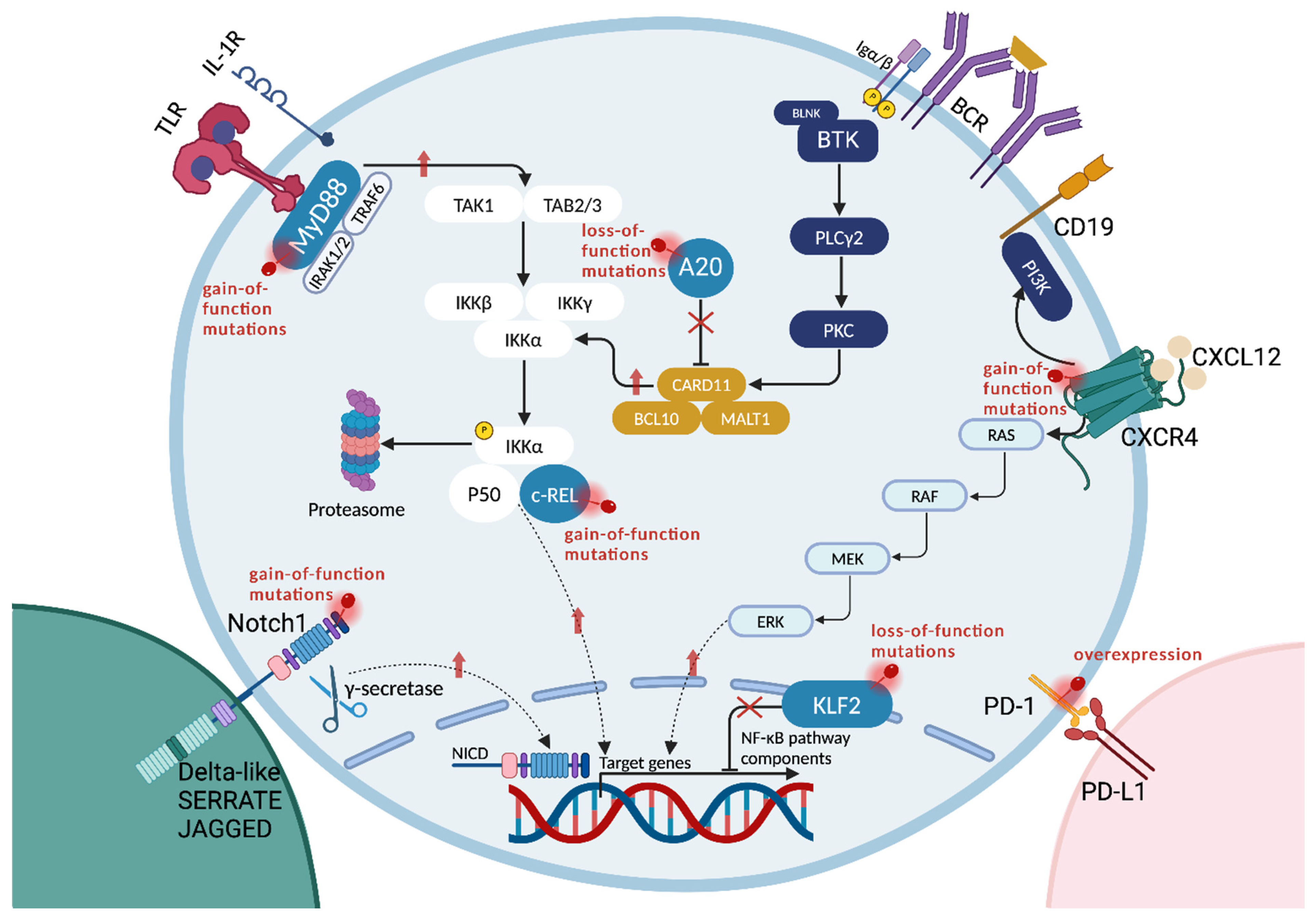 Cancers 17 00907 g002 Cancers 17 00907 g002