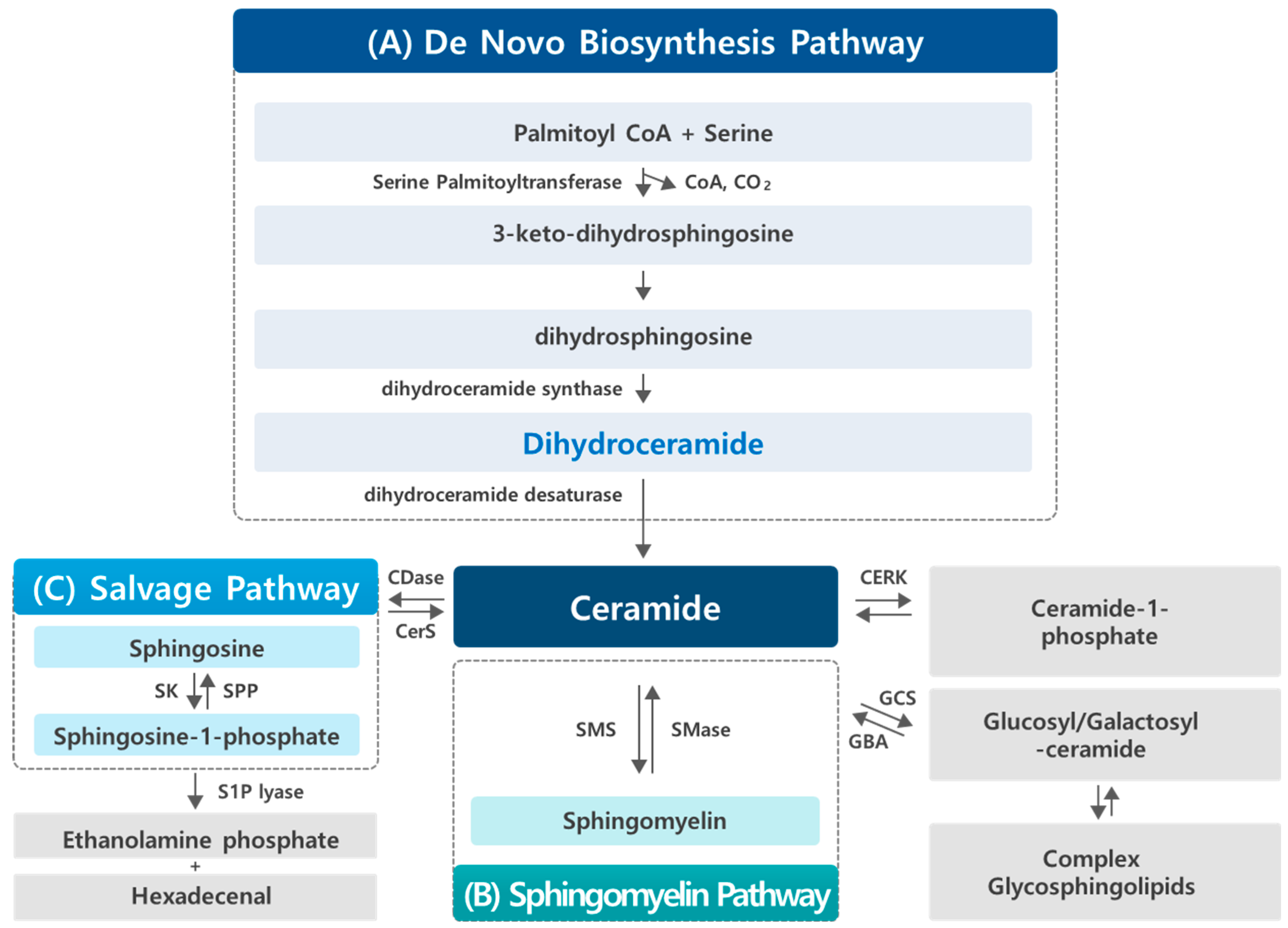 Cancers 17 00909 g001