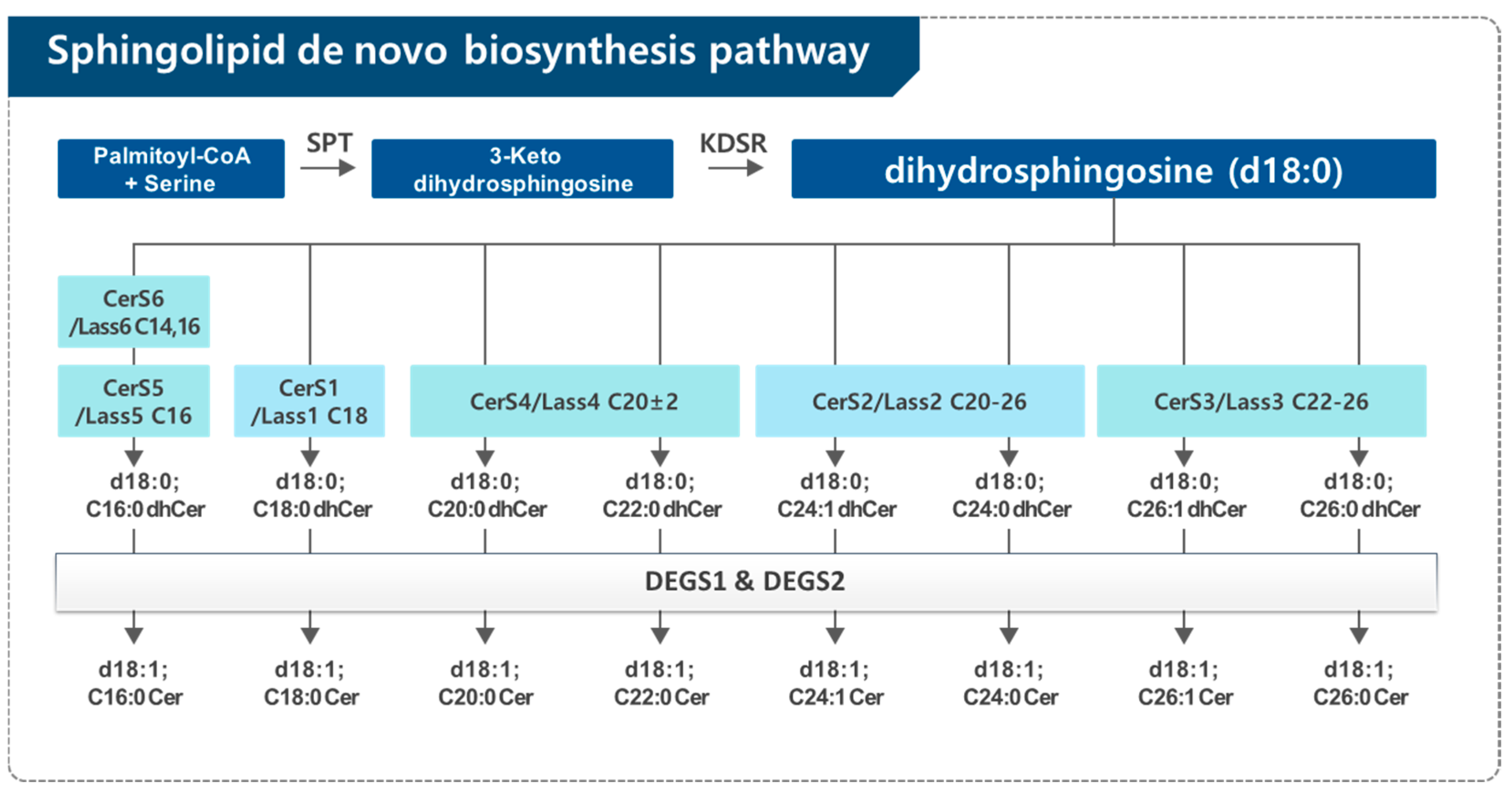 Cancers 17 00909 g002