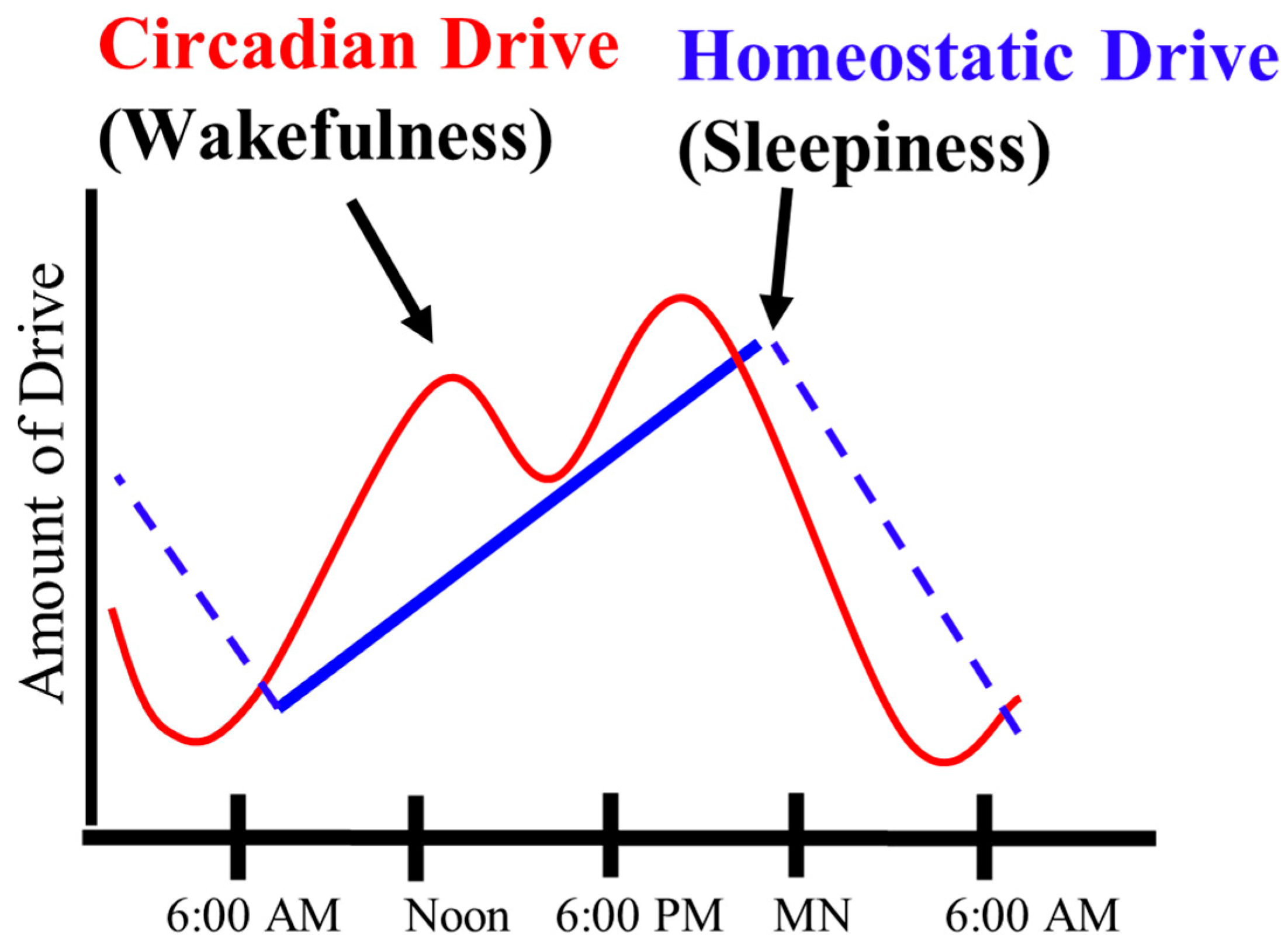 Cancers 17 00911 g001 Cancers 17 00911 g001