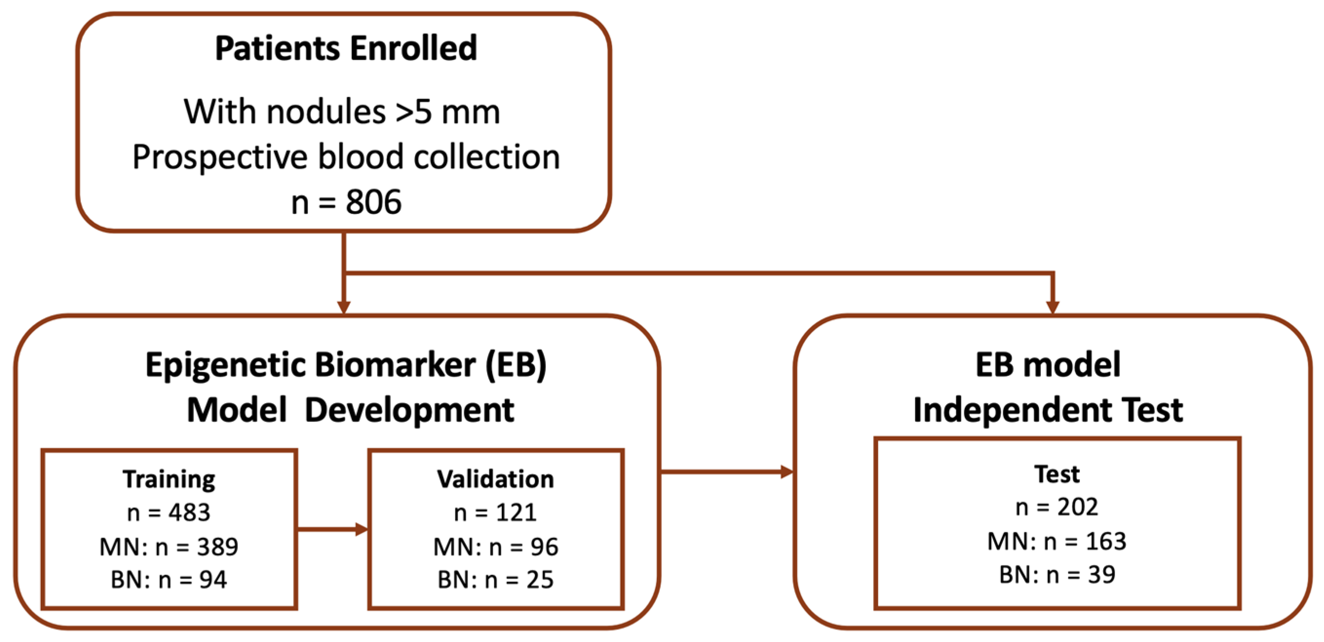 Cancers 17 00916 g001 Cancers 17 00916 g001