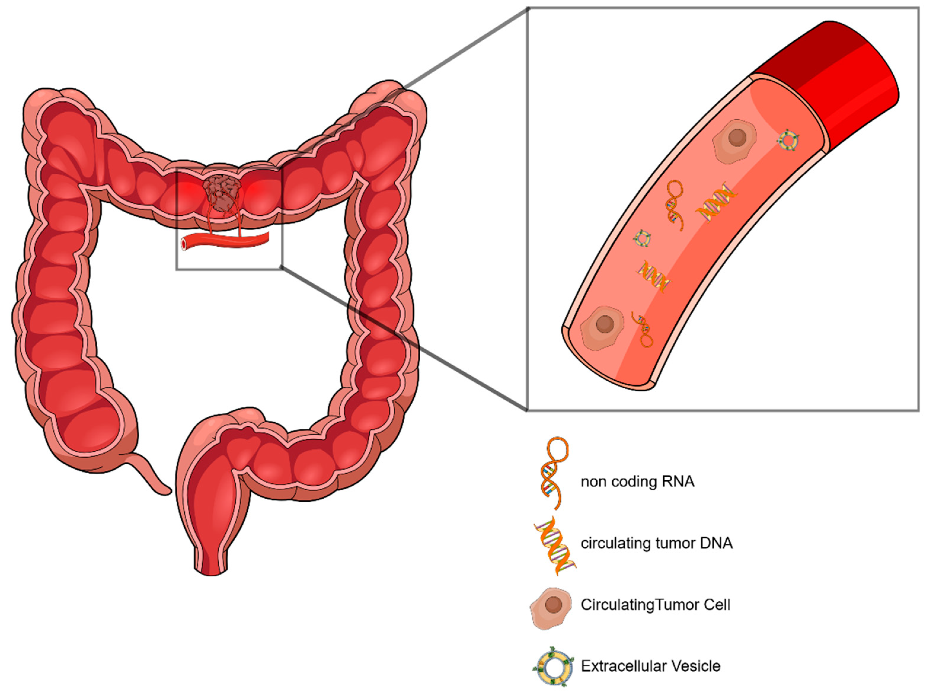 Cancers 17 00927 g001