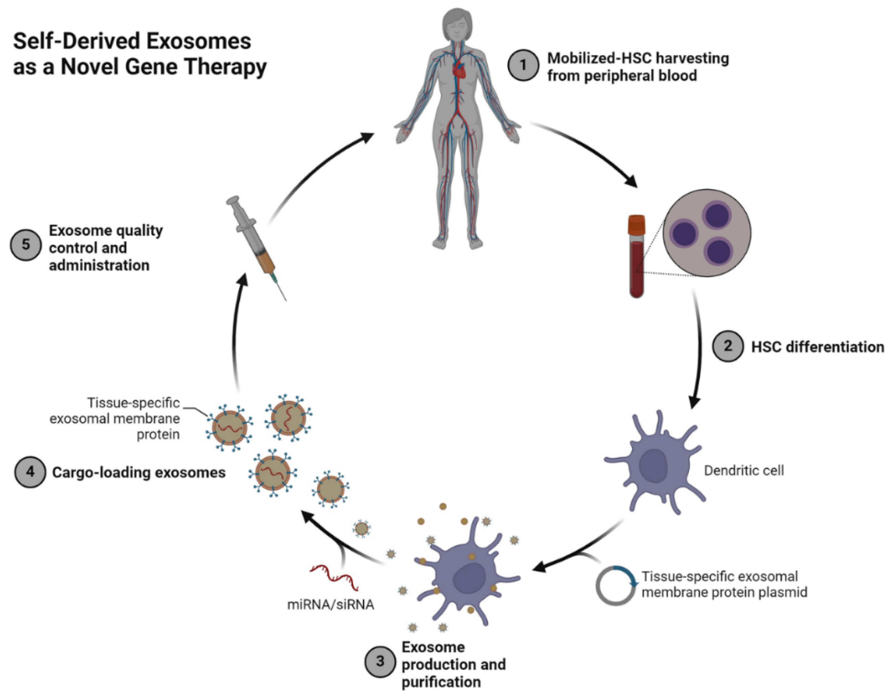 Exosomes in Precision Oncology and Beyond: From Bench to