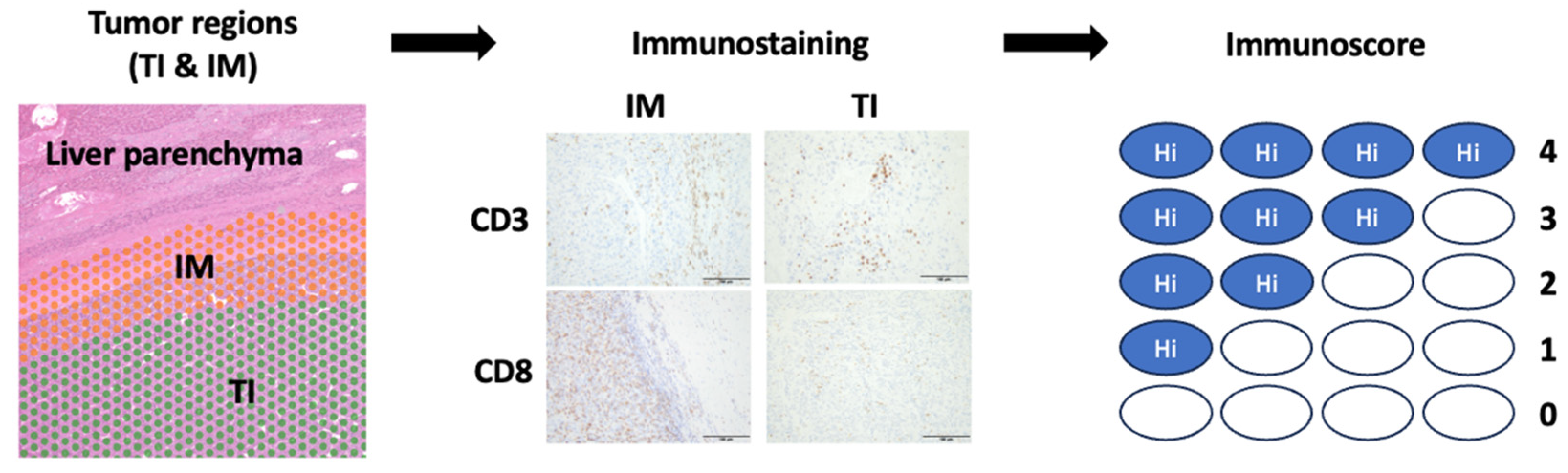 Cancers 17 00948 g002