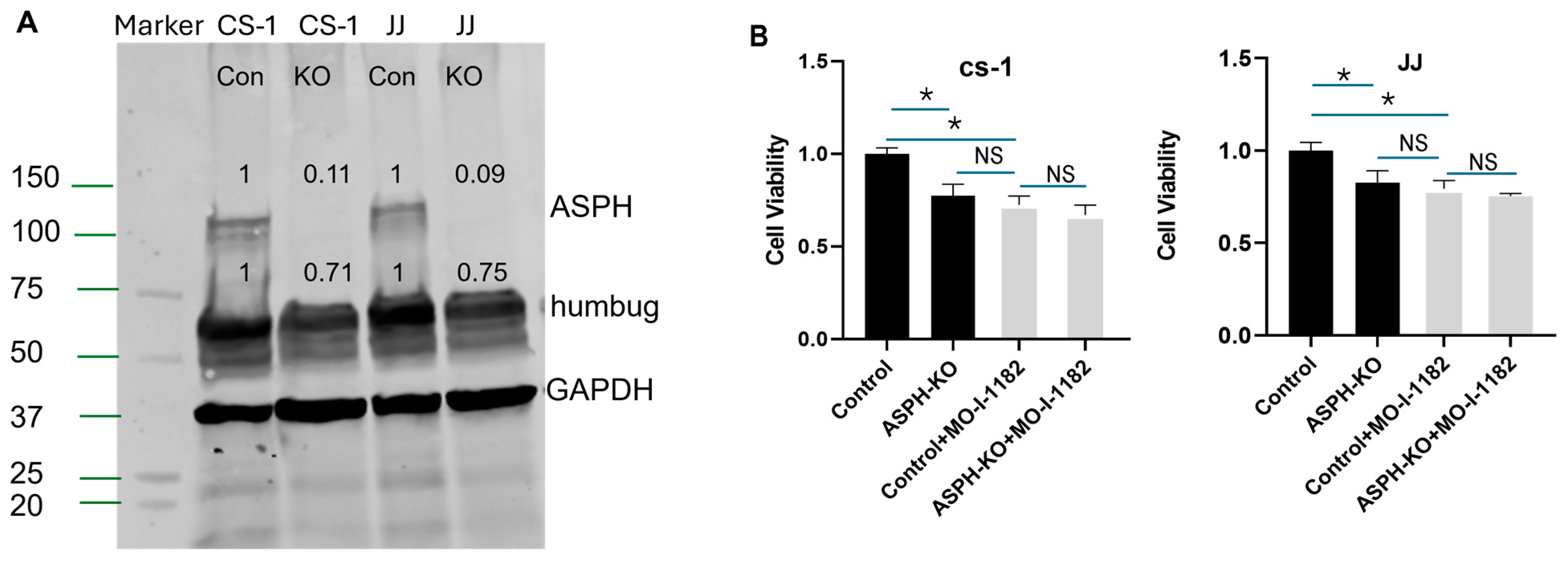 Cancers 17 00951 g004