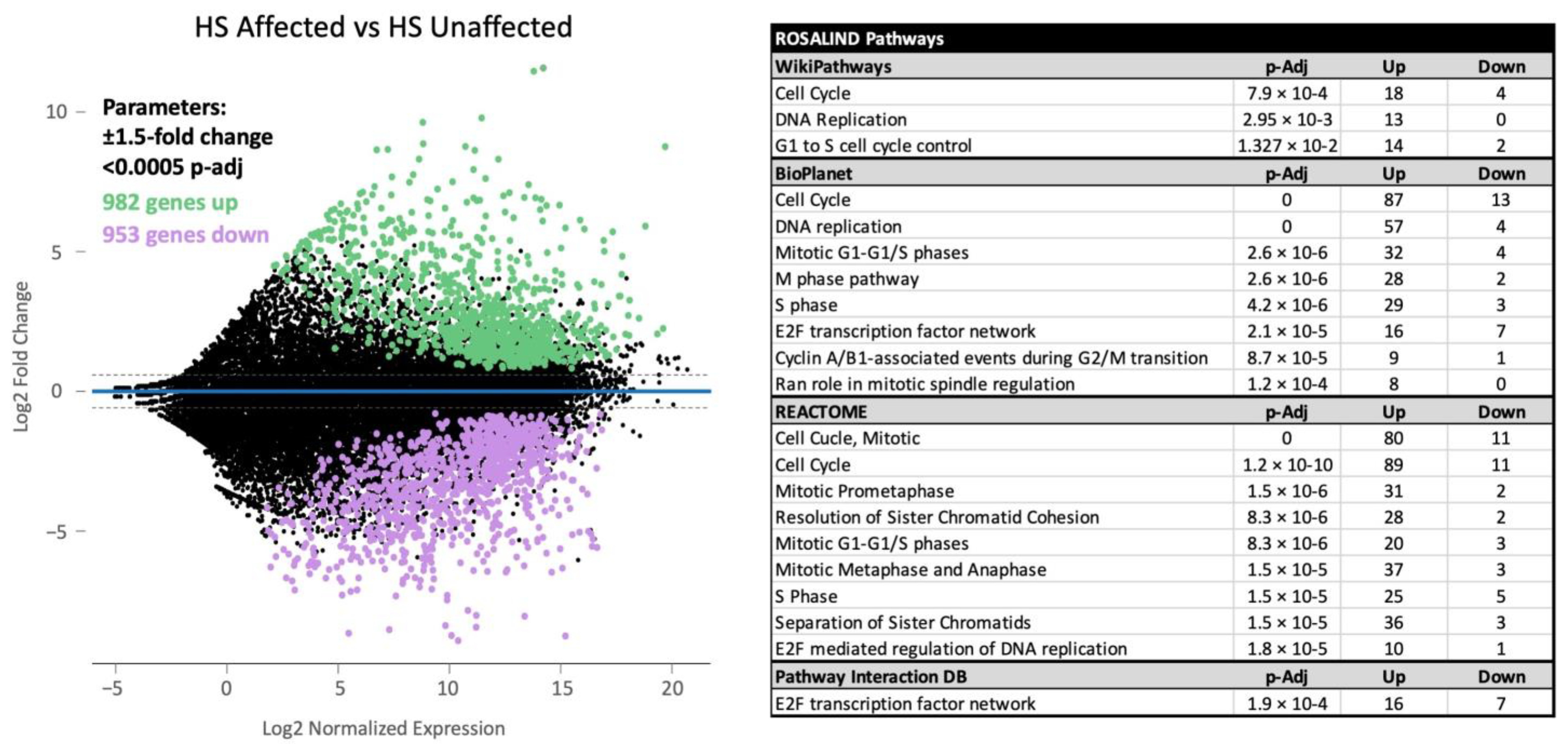 Cancers 17 00954 g001
