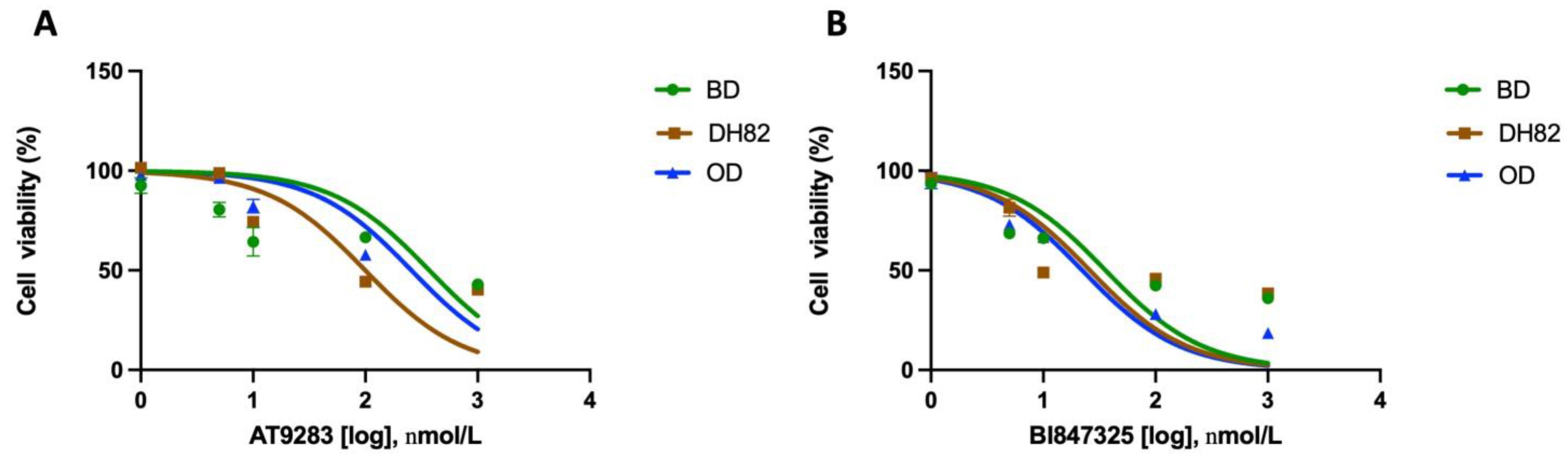 Cancers 17 00954 g004
