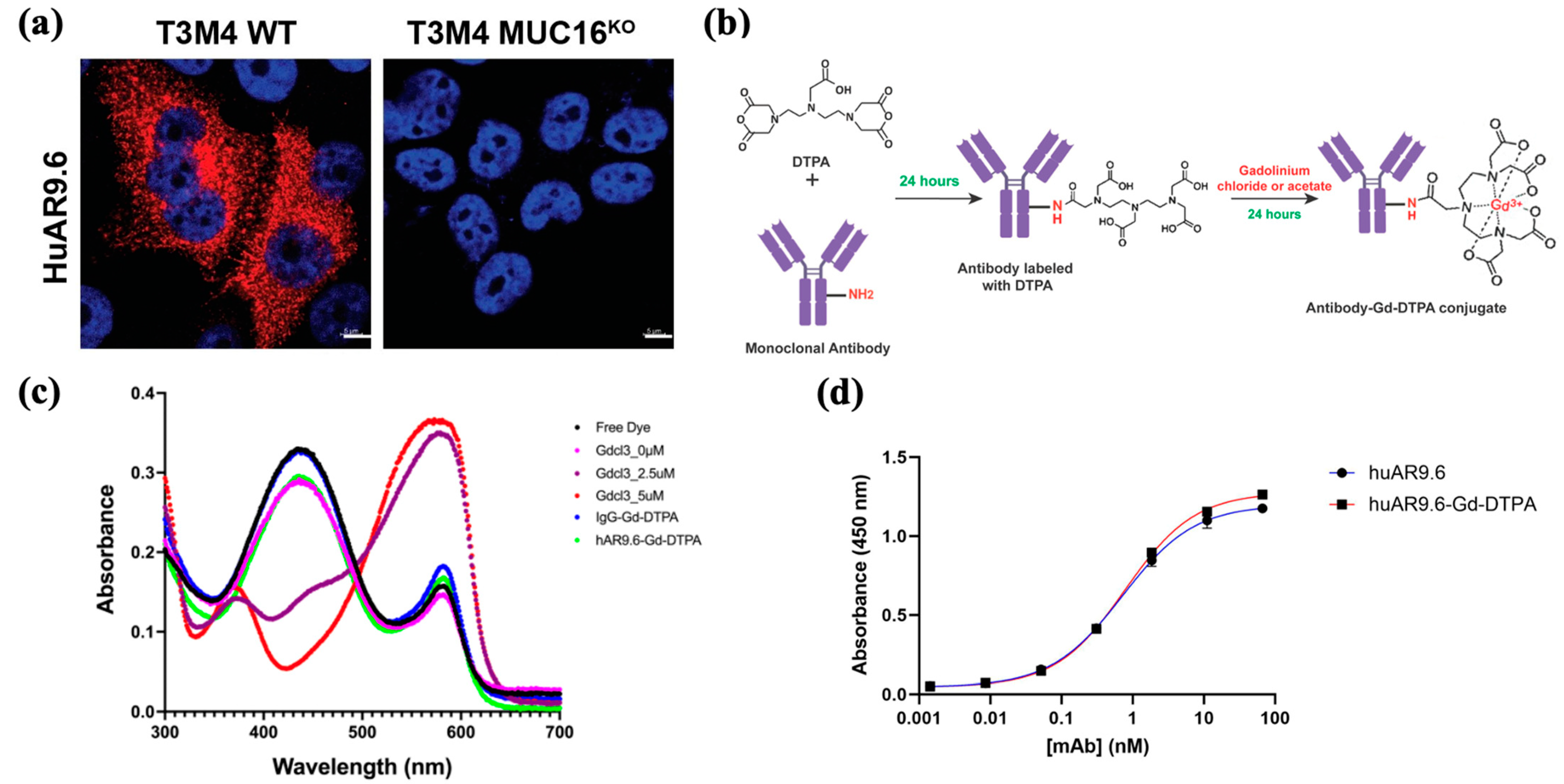Cancers 17 00957 g001