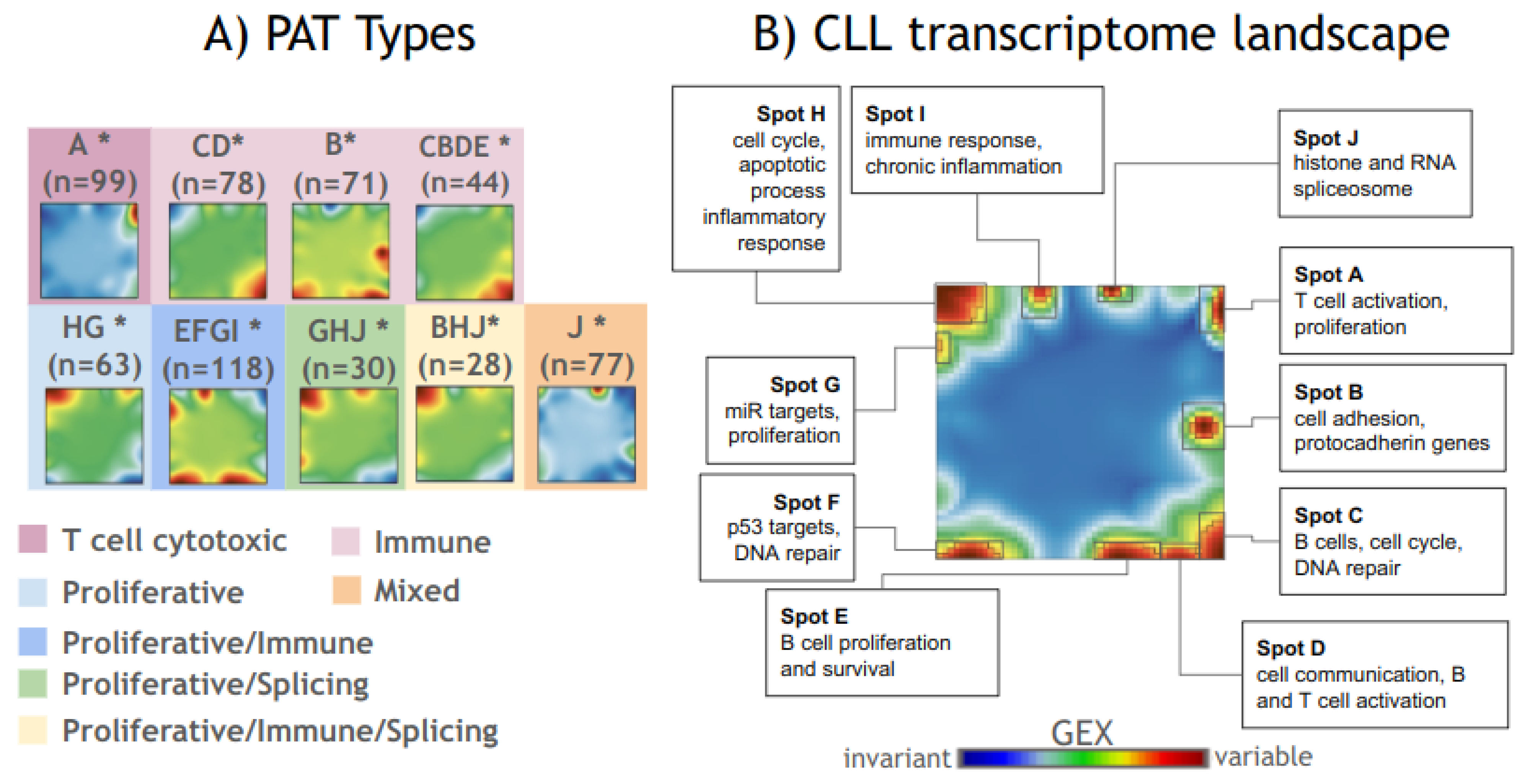 Cancers 17 00964 g001 Cancers 17 00964 g001