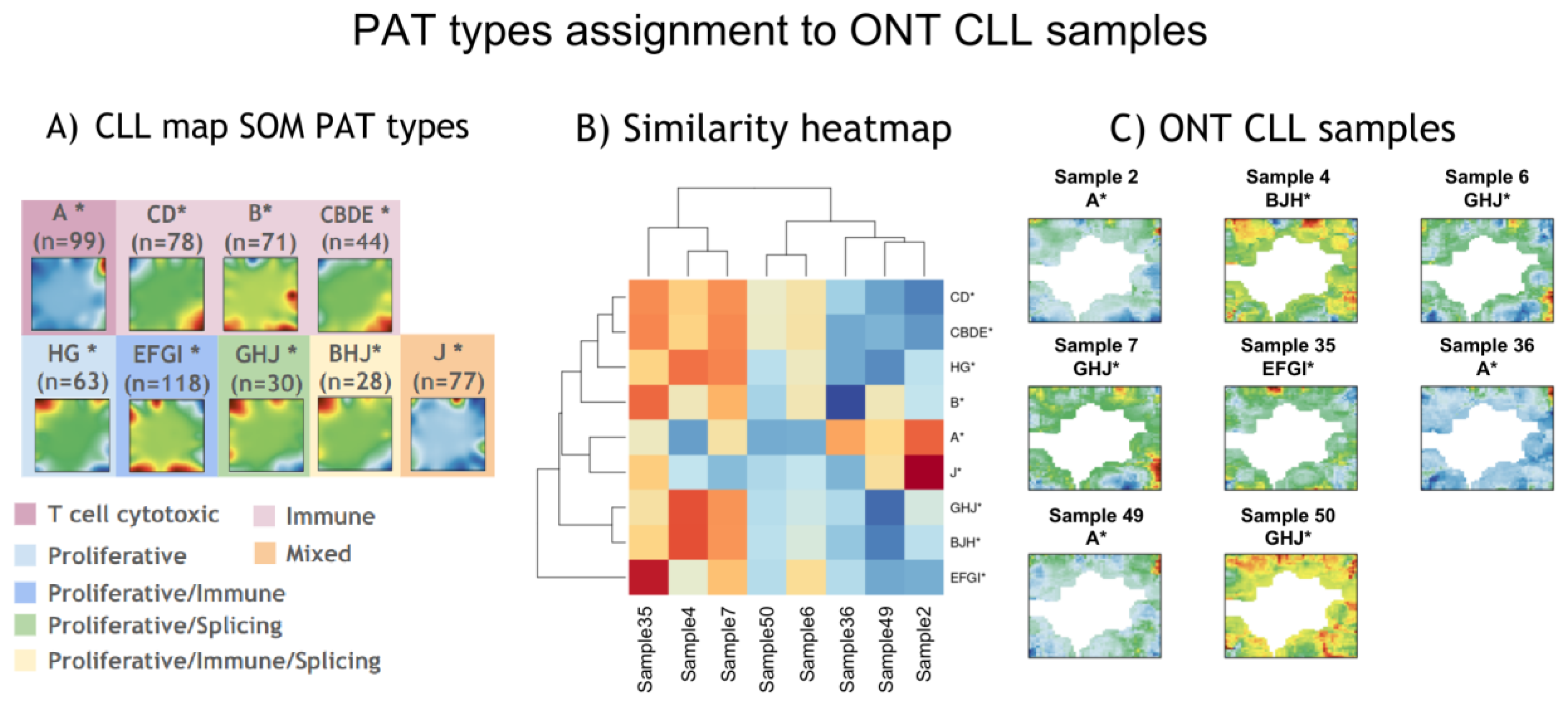 Cancers 17 00964 g005 Cancers 17 00964 g005