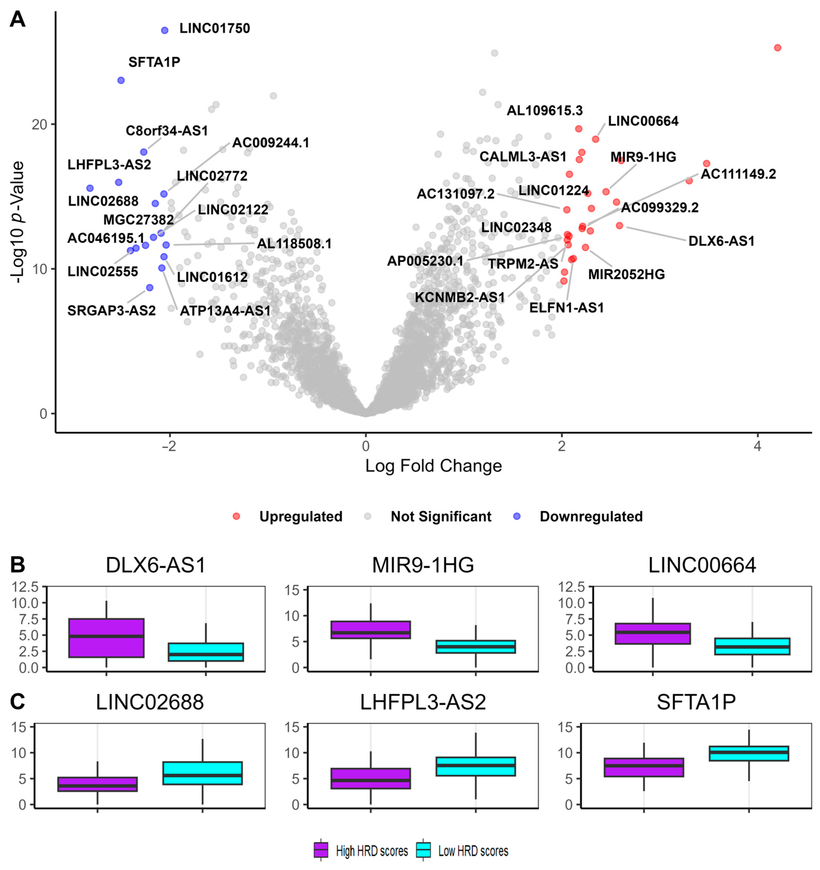 Cancers 17 00996 g003