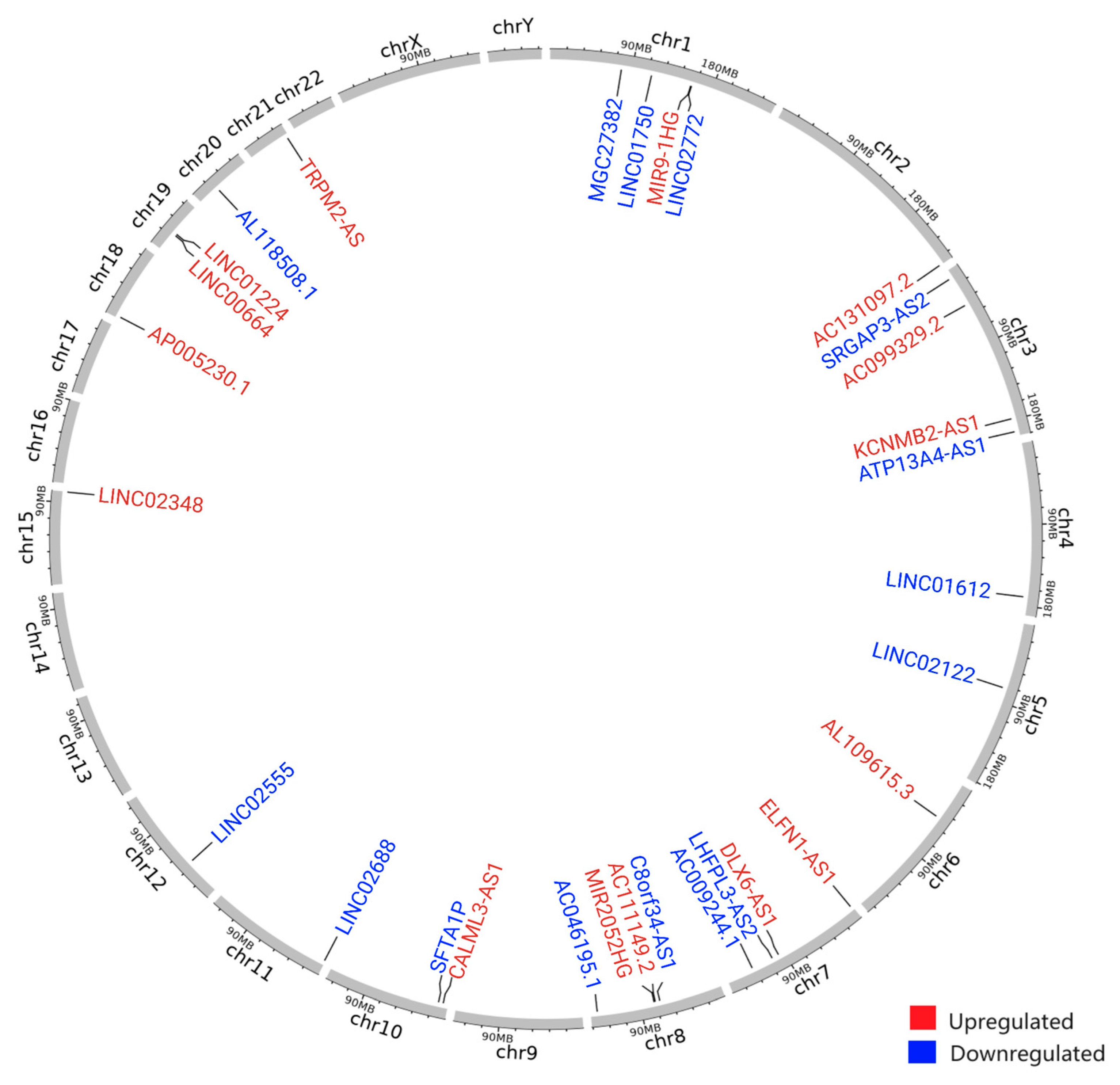 Cancers 17 00996 g004