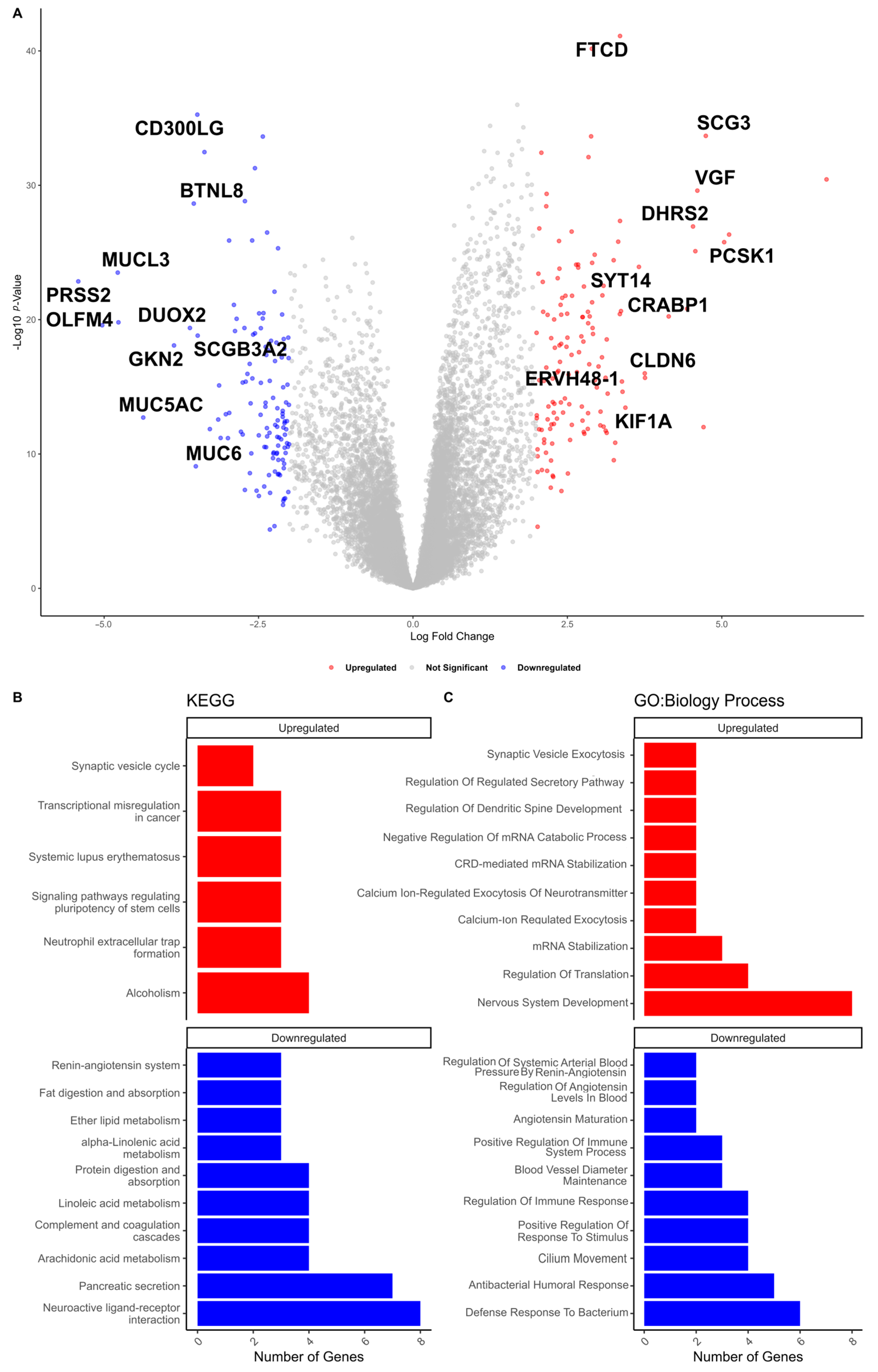 Cancers 17 00996 g005