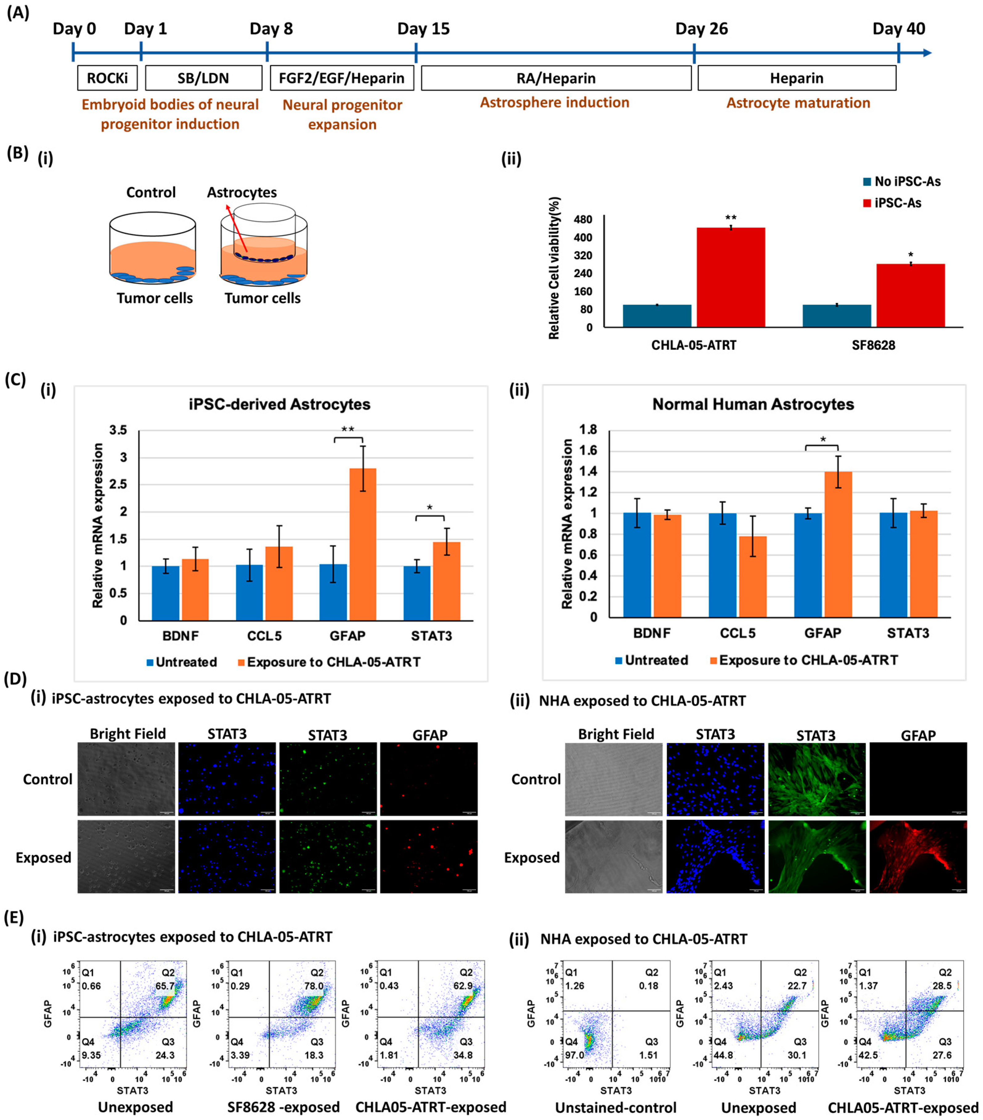 Cancers 17 00997 g001