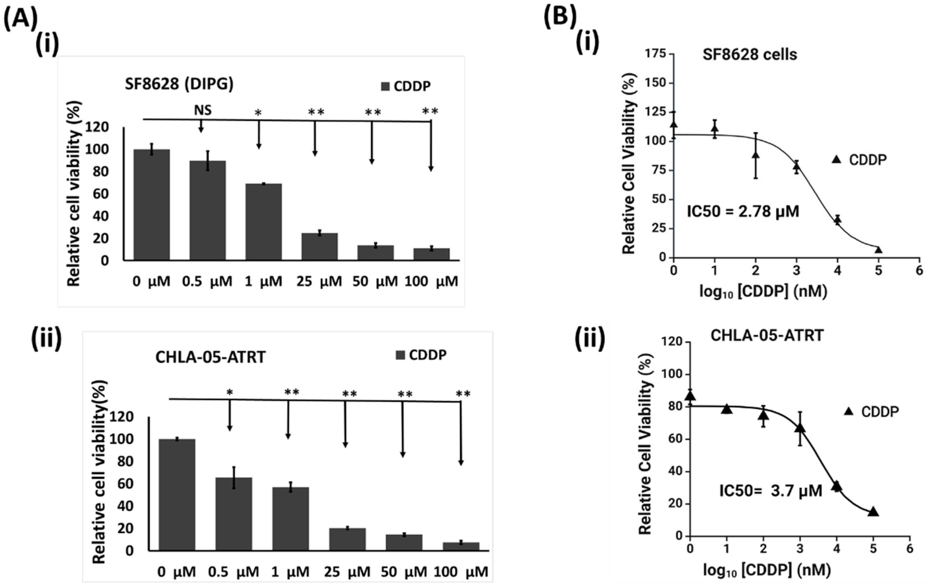 Cancers 17 00997 g002