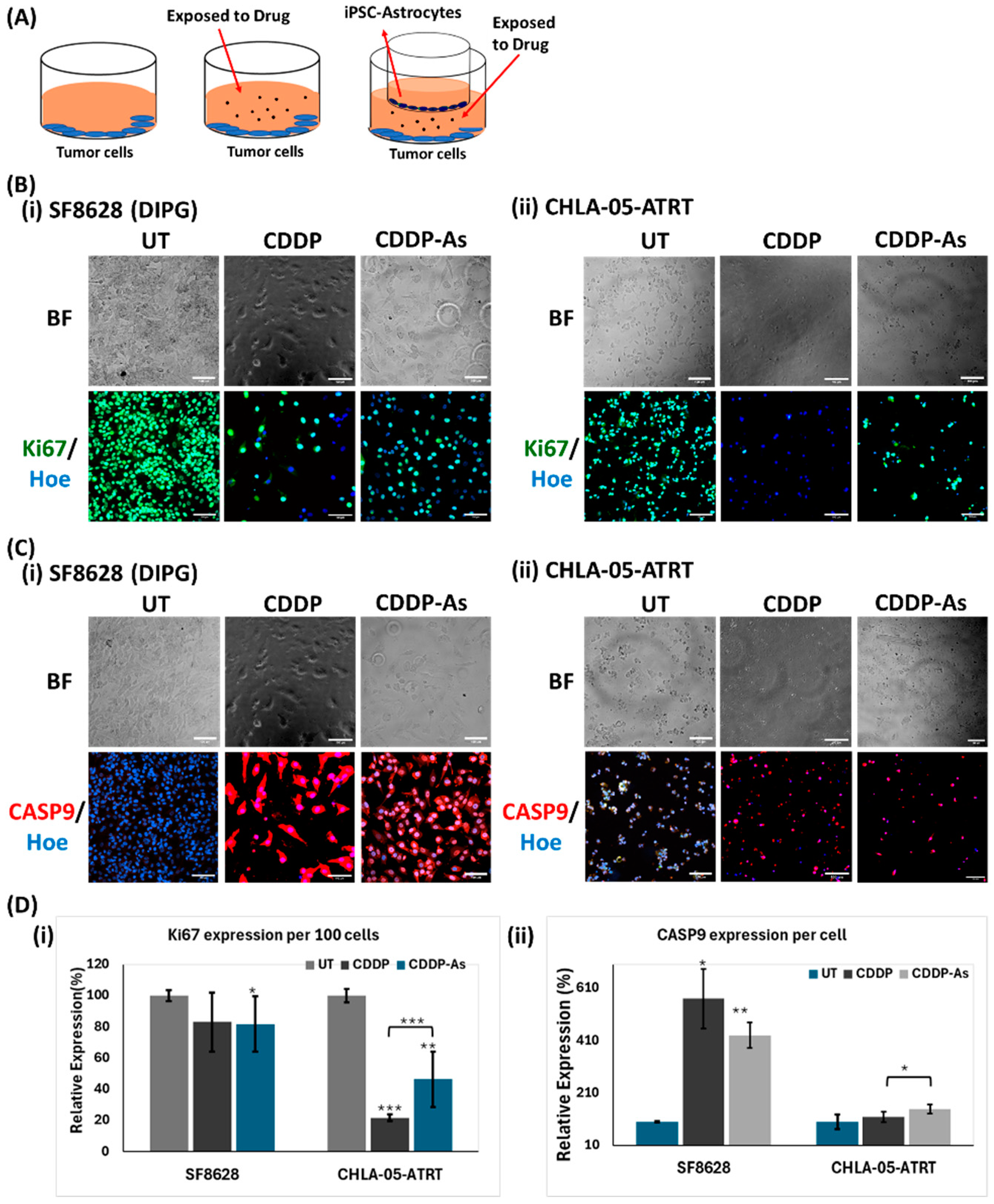 Cancers 17 00997 g004