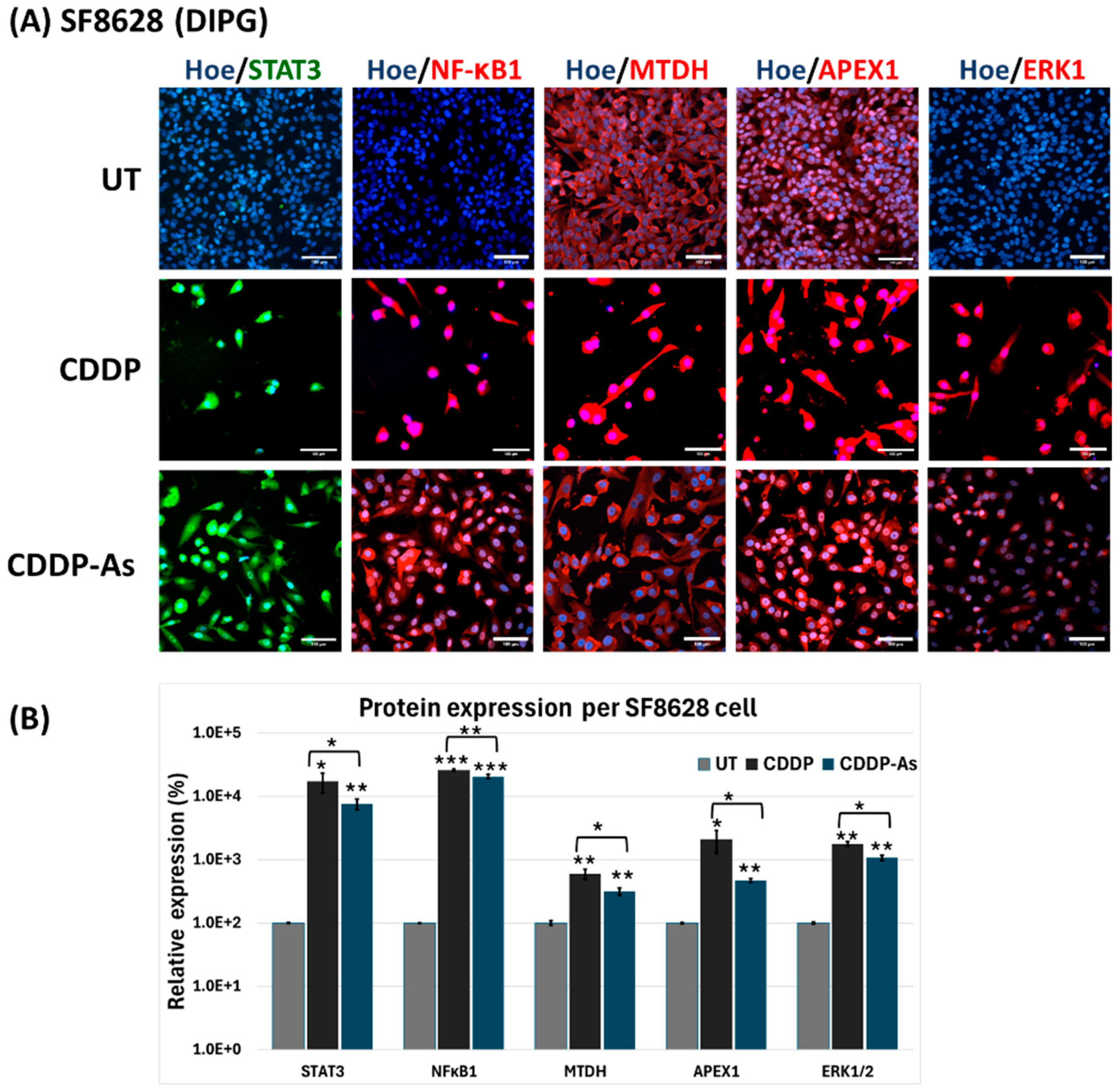 Cancers 17 00997 g005