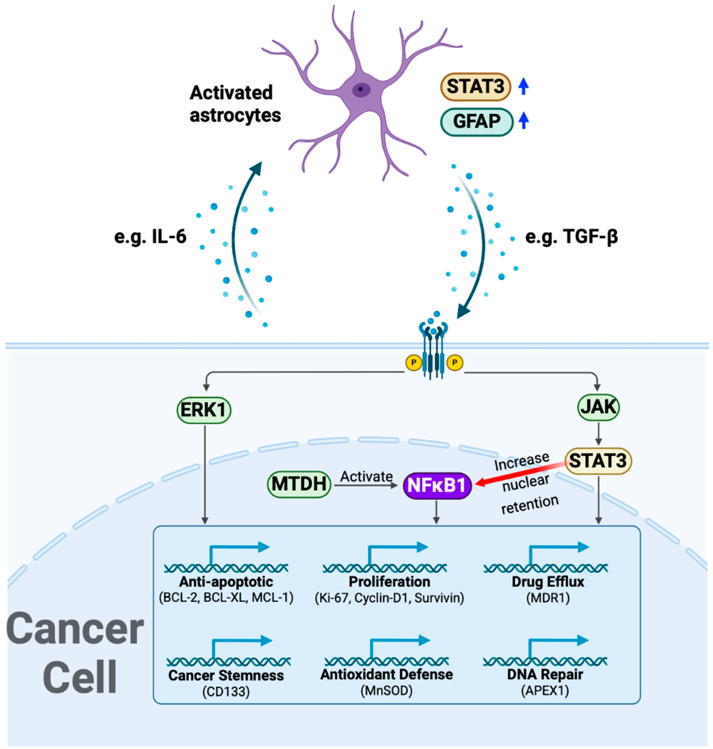 Cancers 17 00997 g008