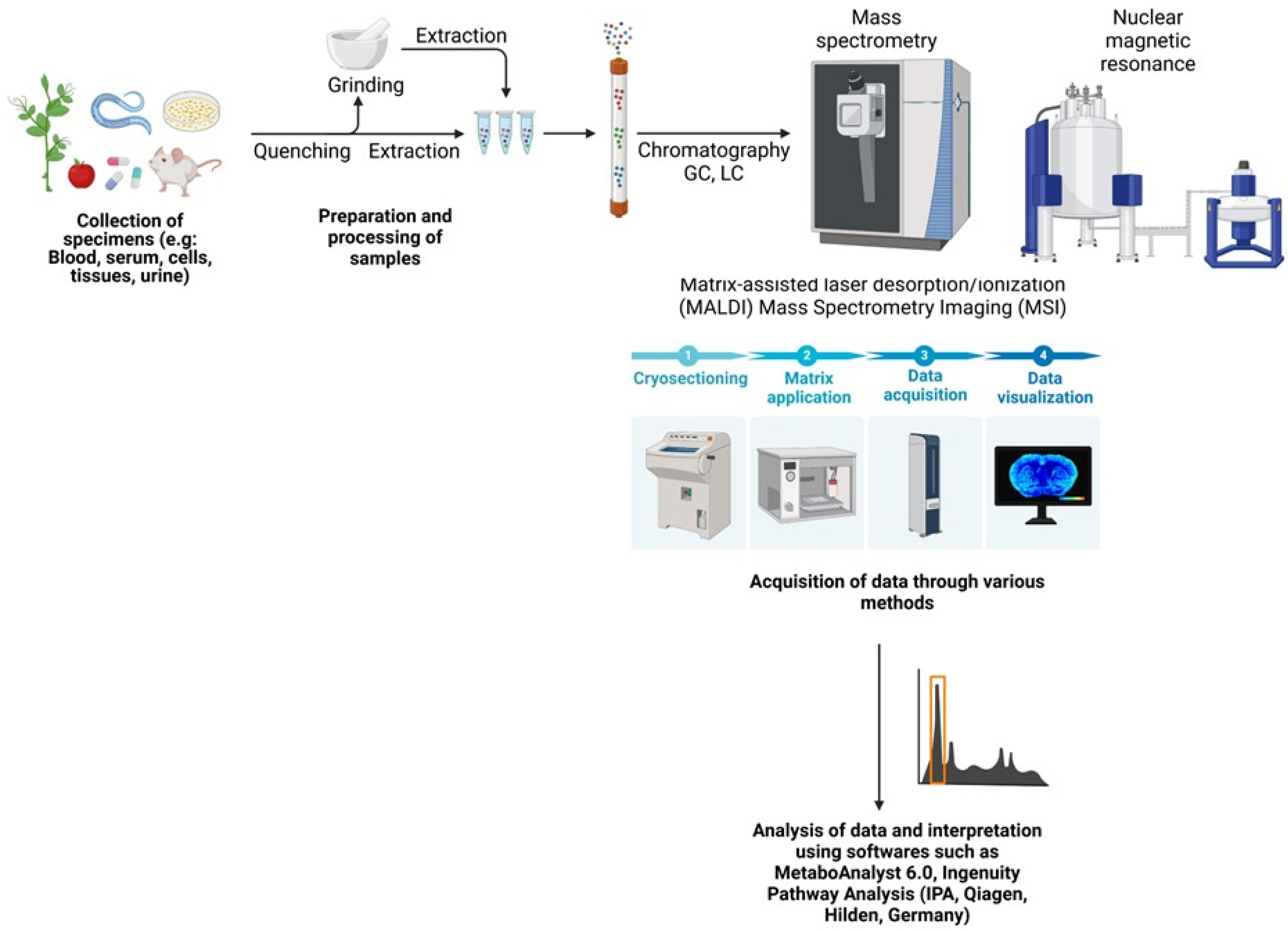 Cancers 17 01017 g004