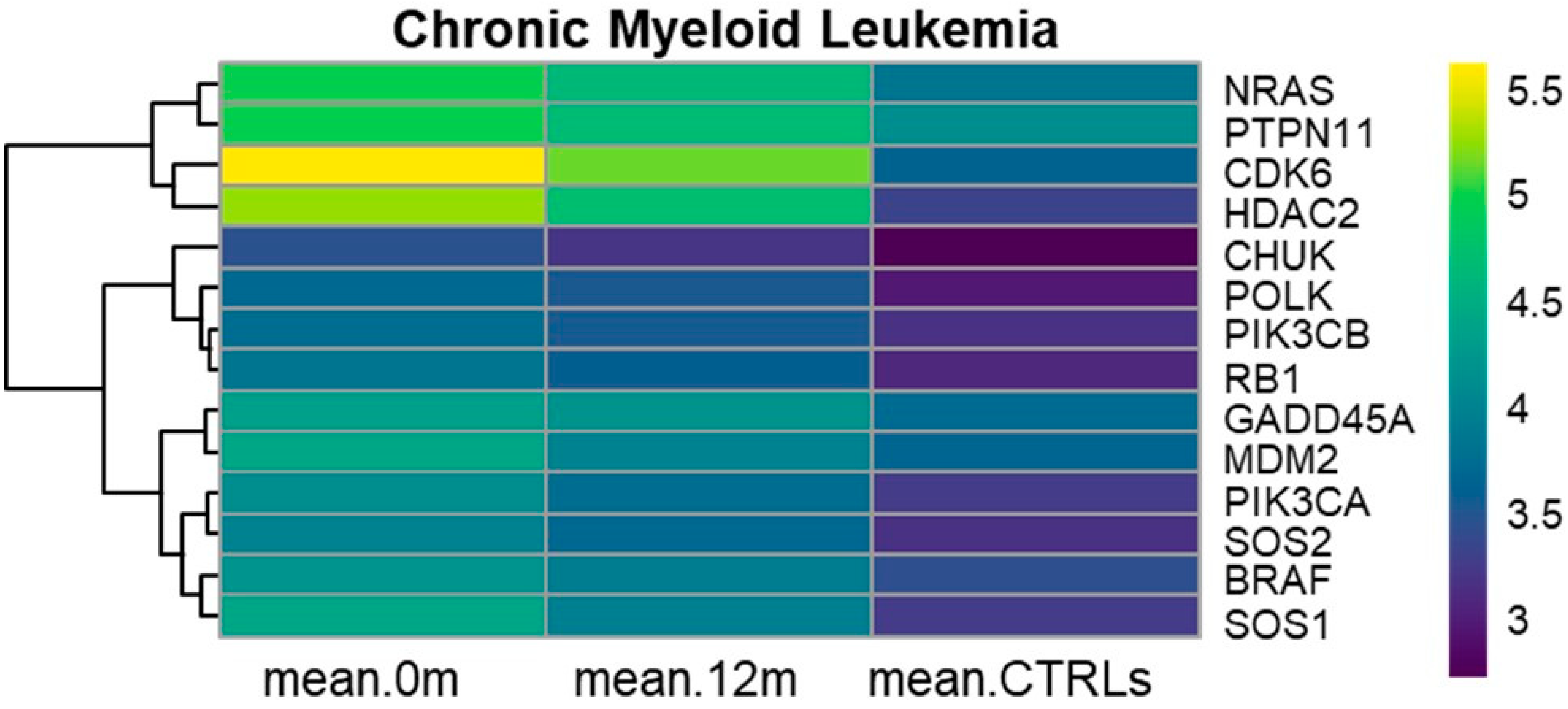 Cancers 17 01022 g001