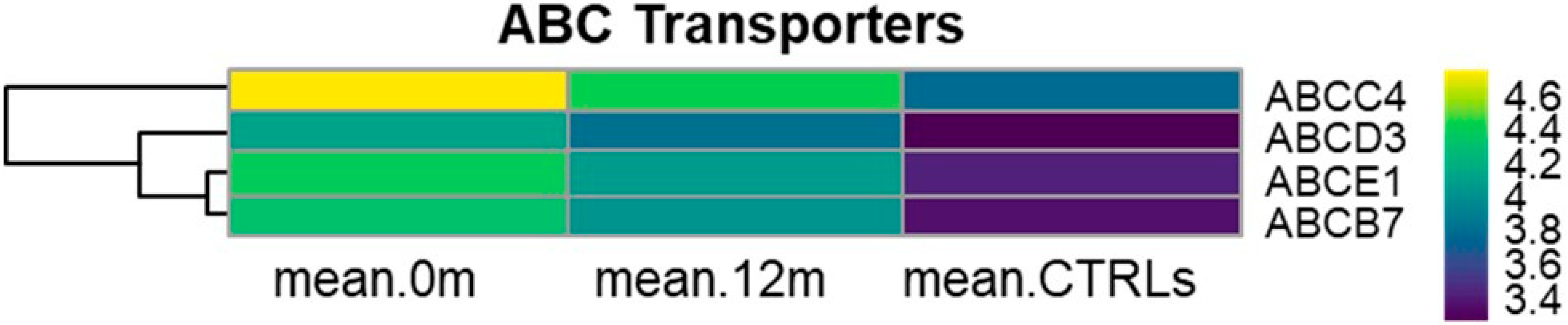 Cancers 17 01022 g004
