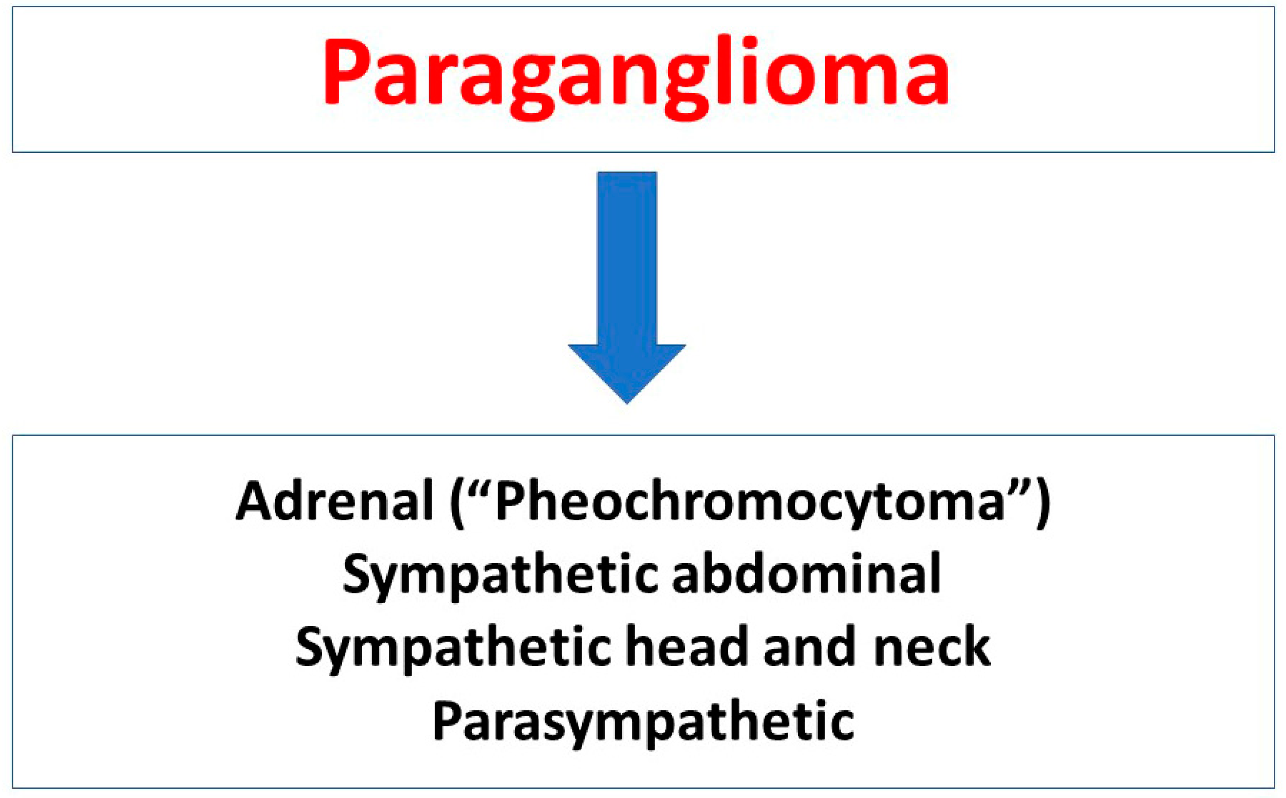 Cancers 17 01029 g001