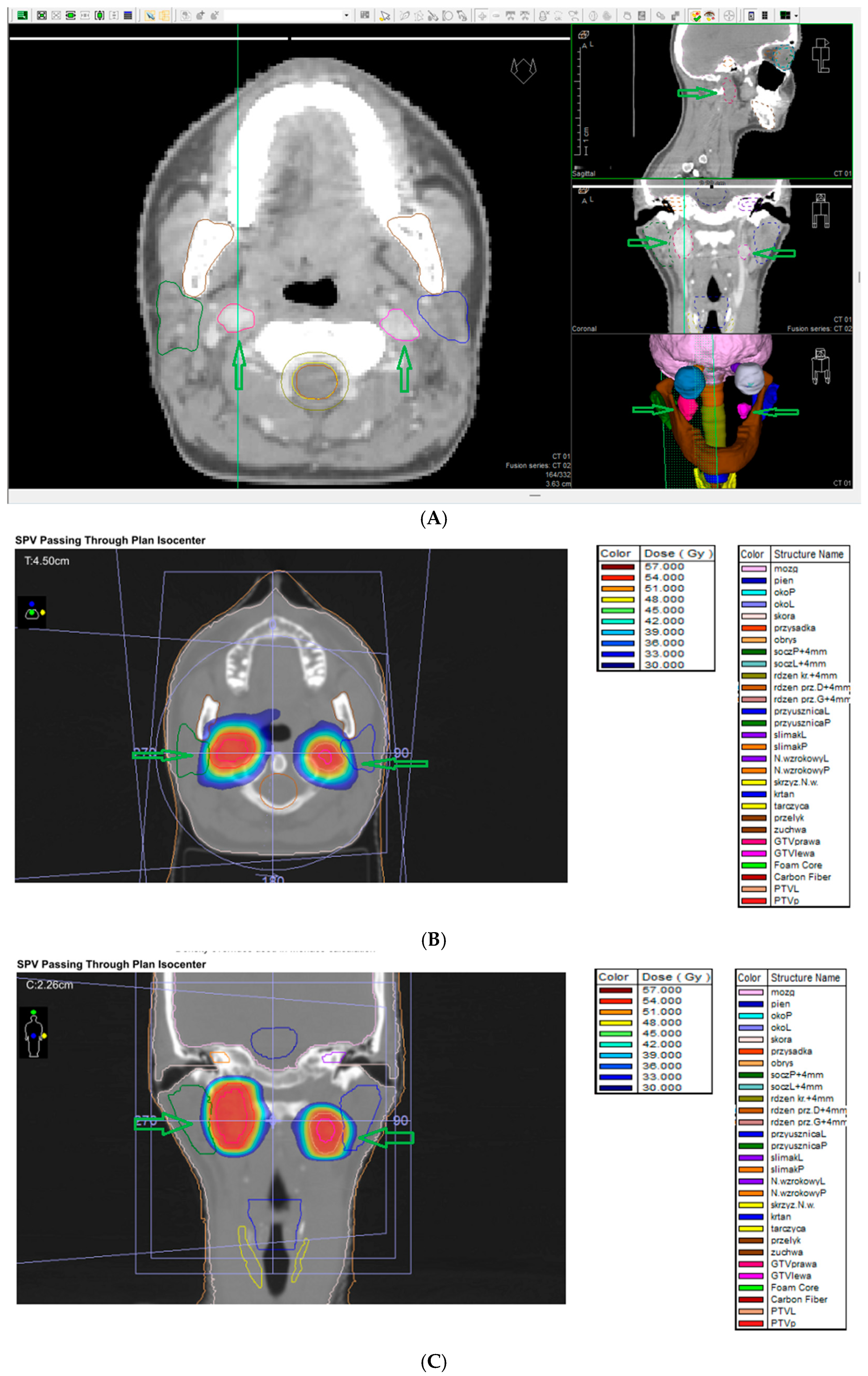 Cancers 17 01029 g004